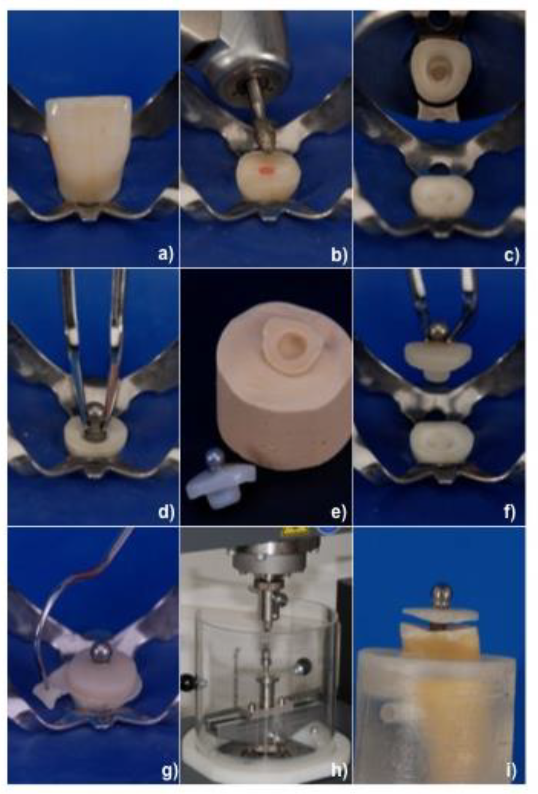 Materials 13 03517 g001