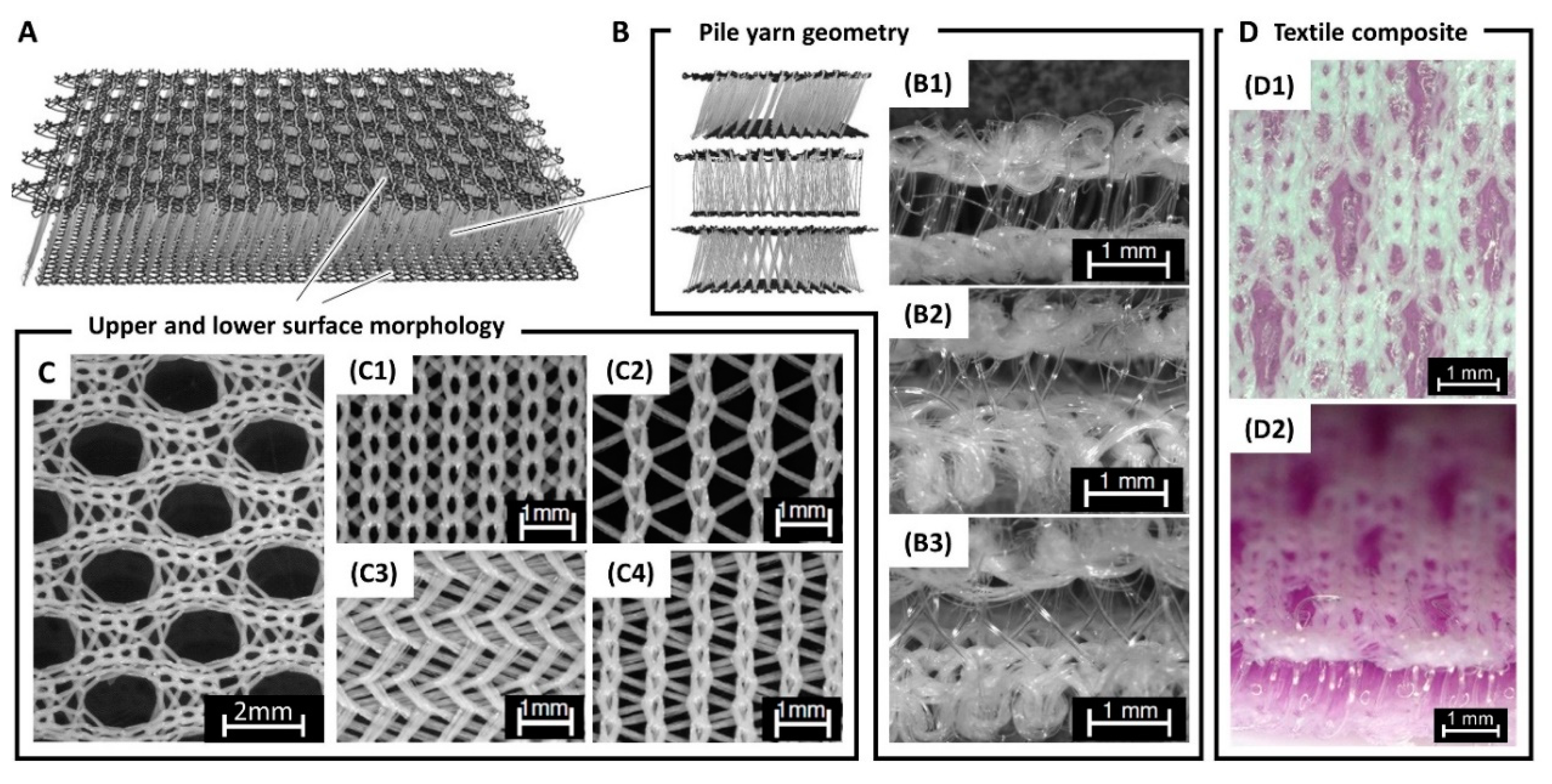 Materials 13 03518 g001