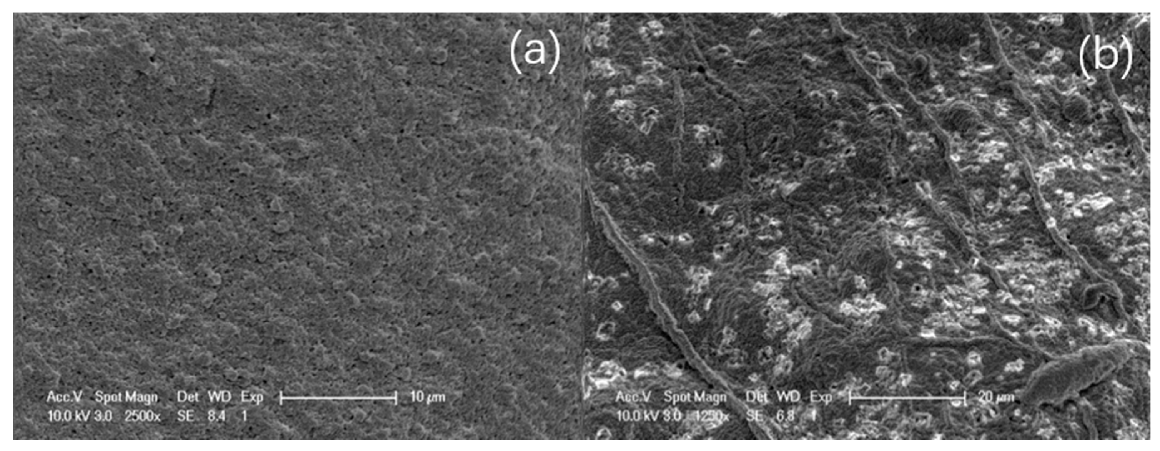 Materials 13 03519 g002 Materials 13 03519 g002