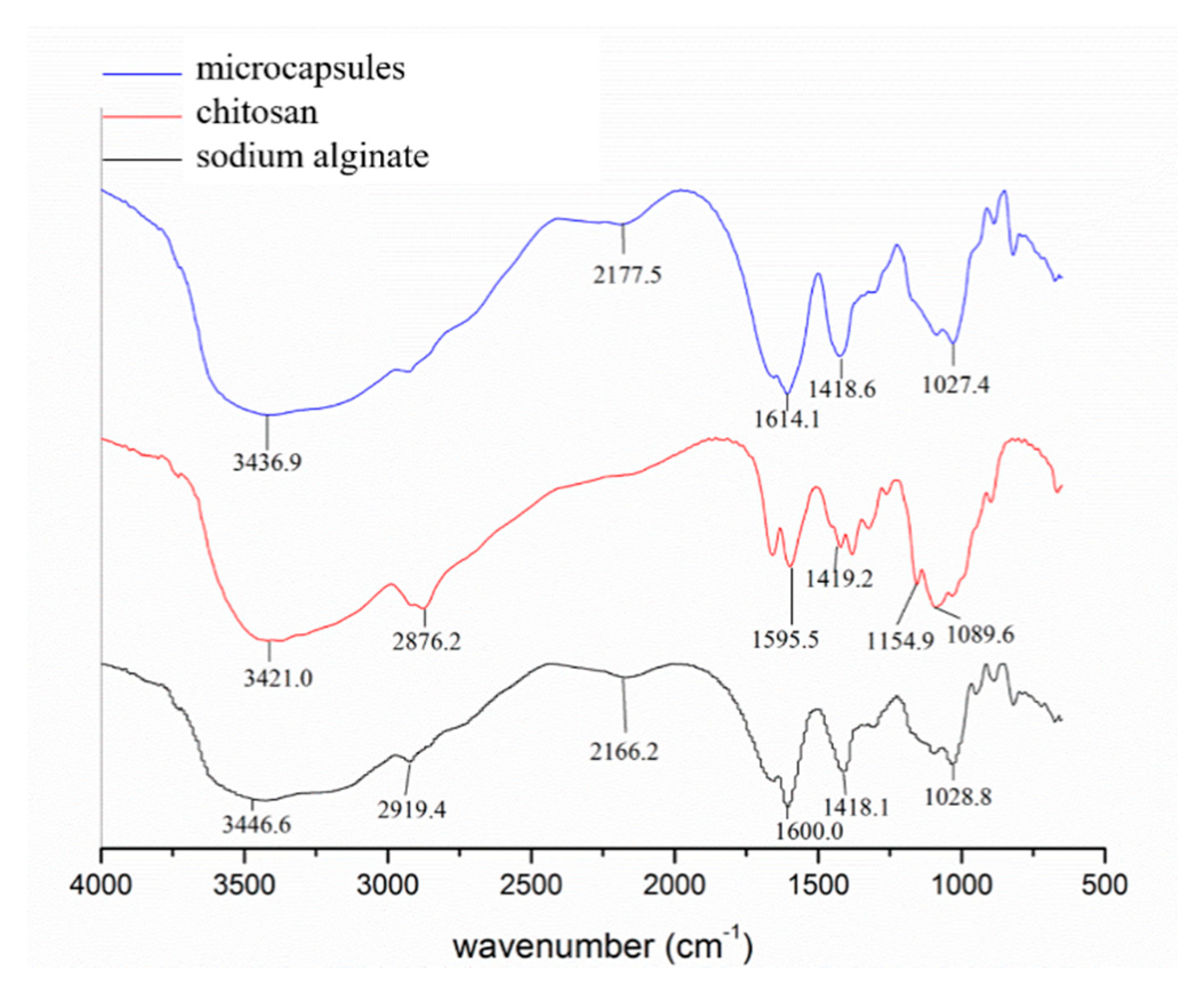 Materials 13 03519 g004 Materials 13 03519 g004