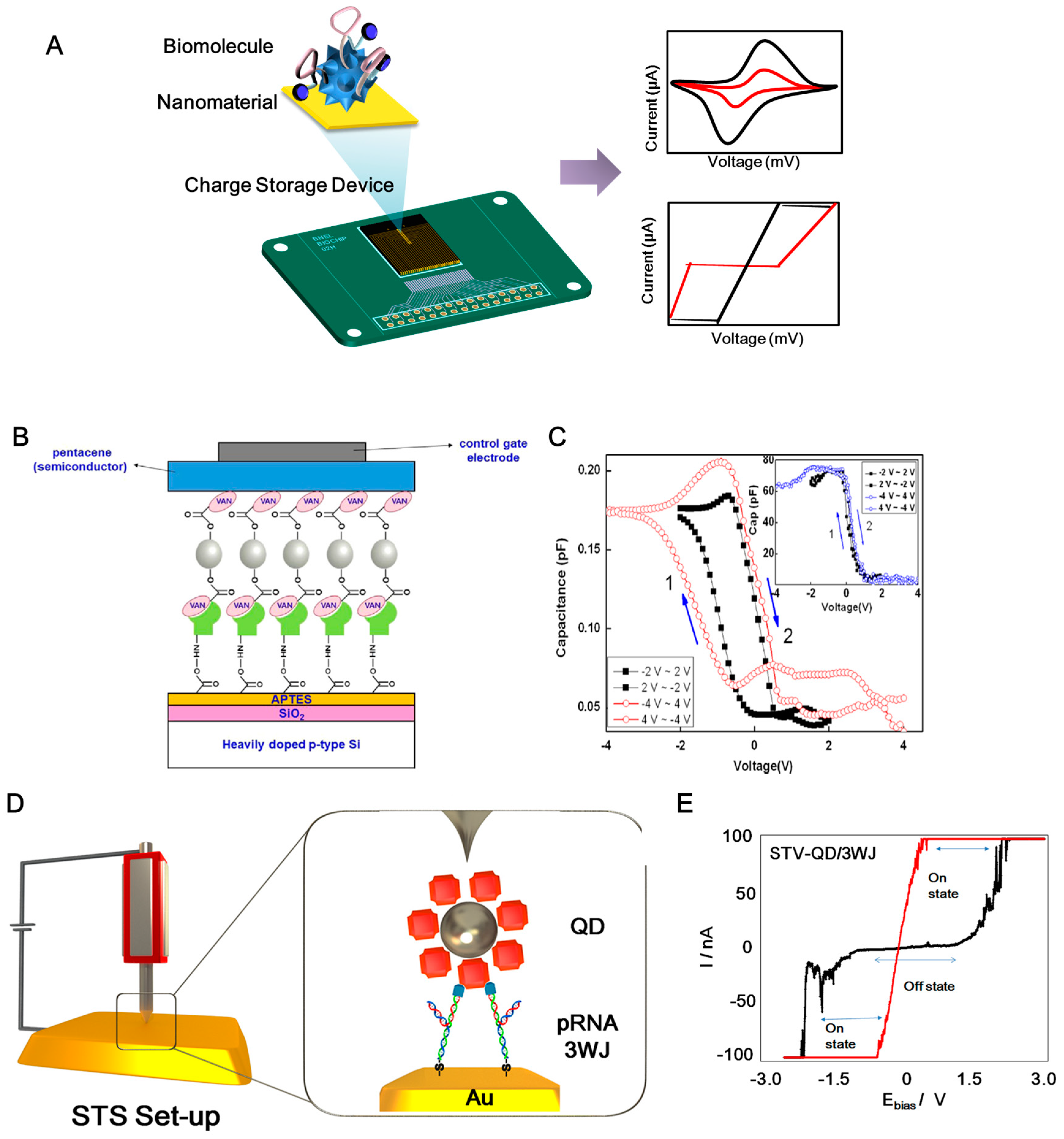 Materials 13 03520 g001