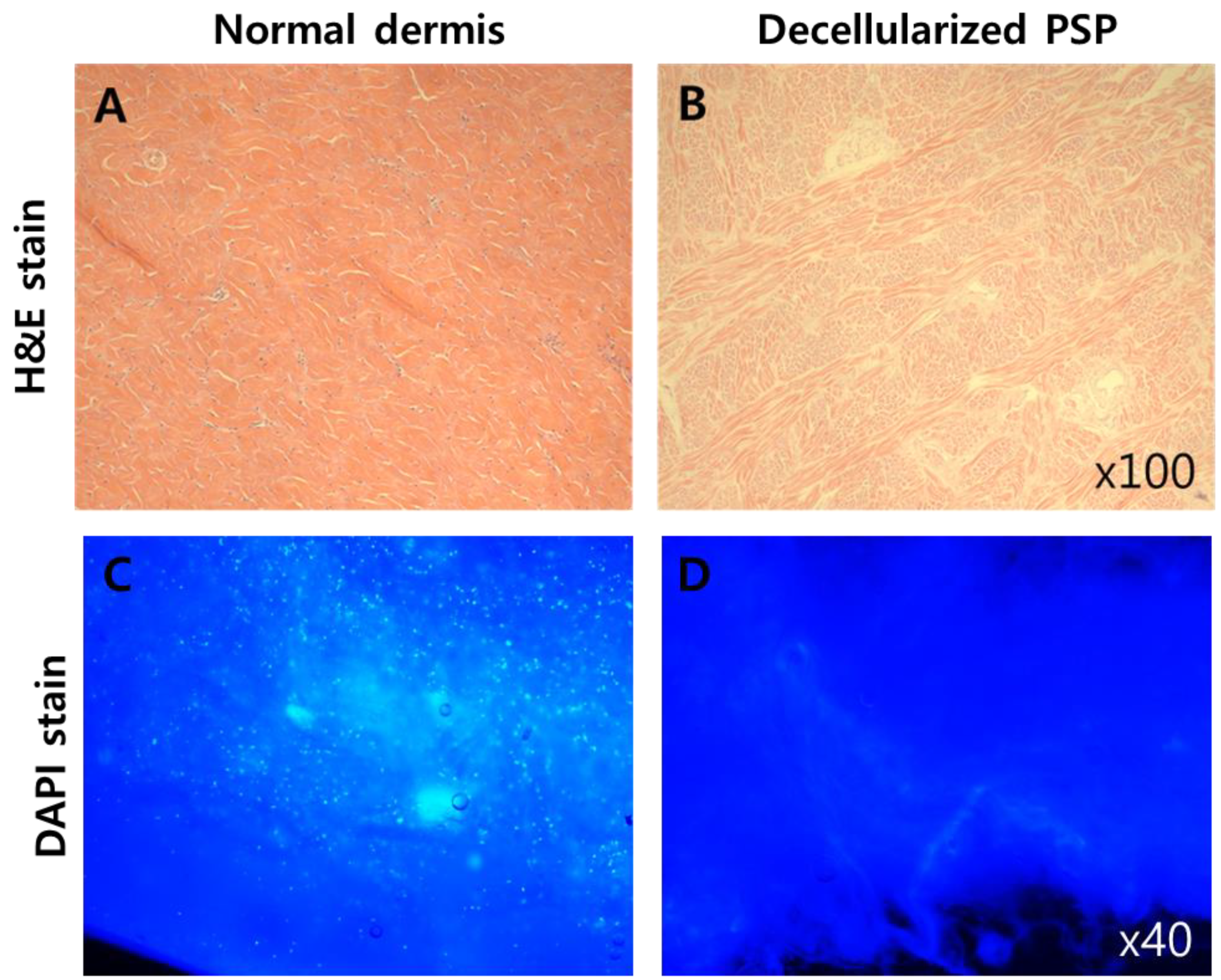 Materials 13 03522 g001