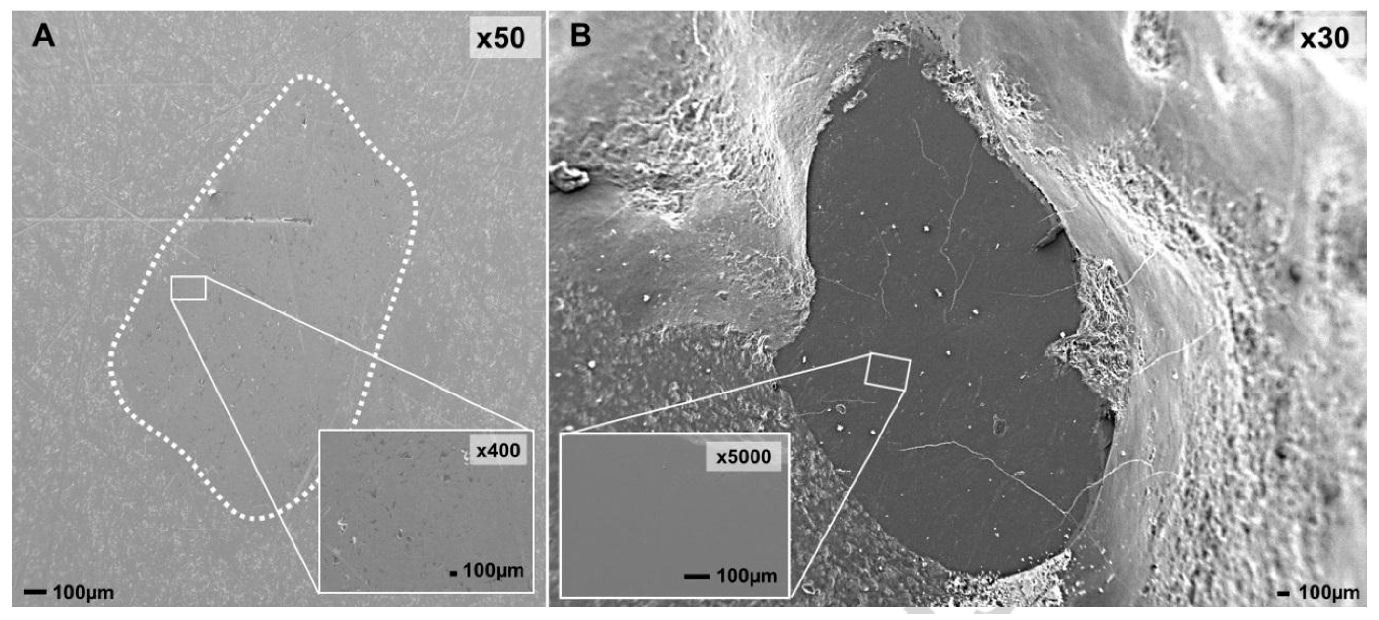 Materials 13 03525 g004