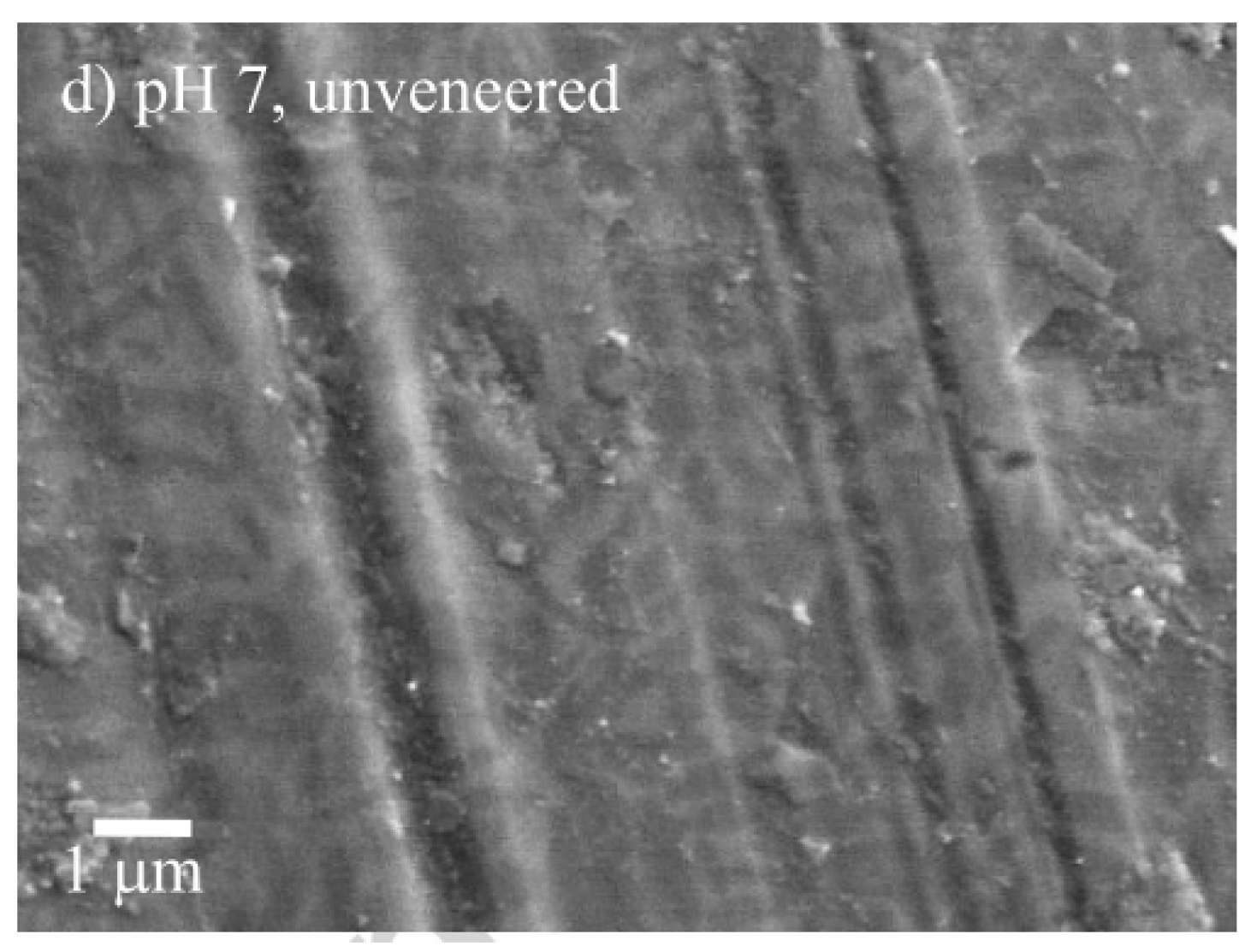 Materials 13 03525 g005