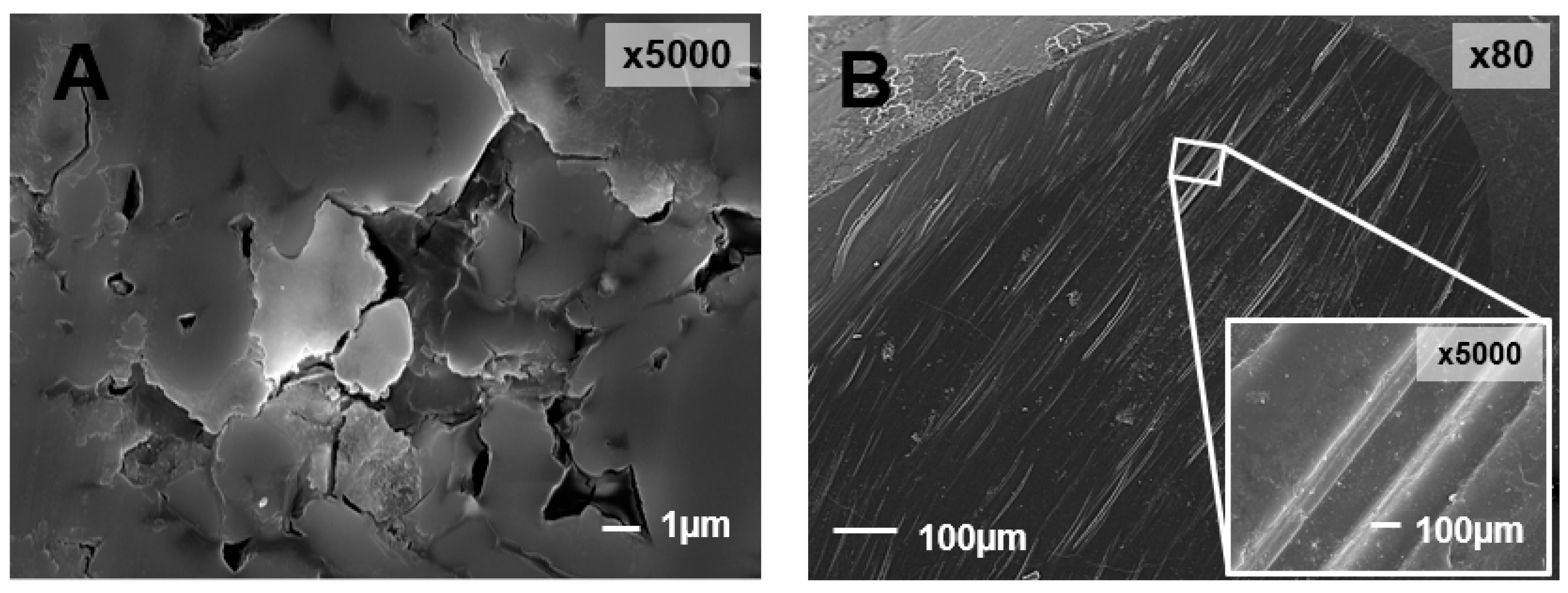 Materials 13 03525 g007