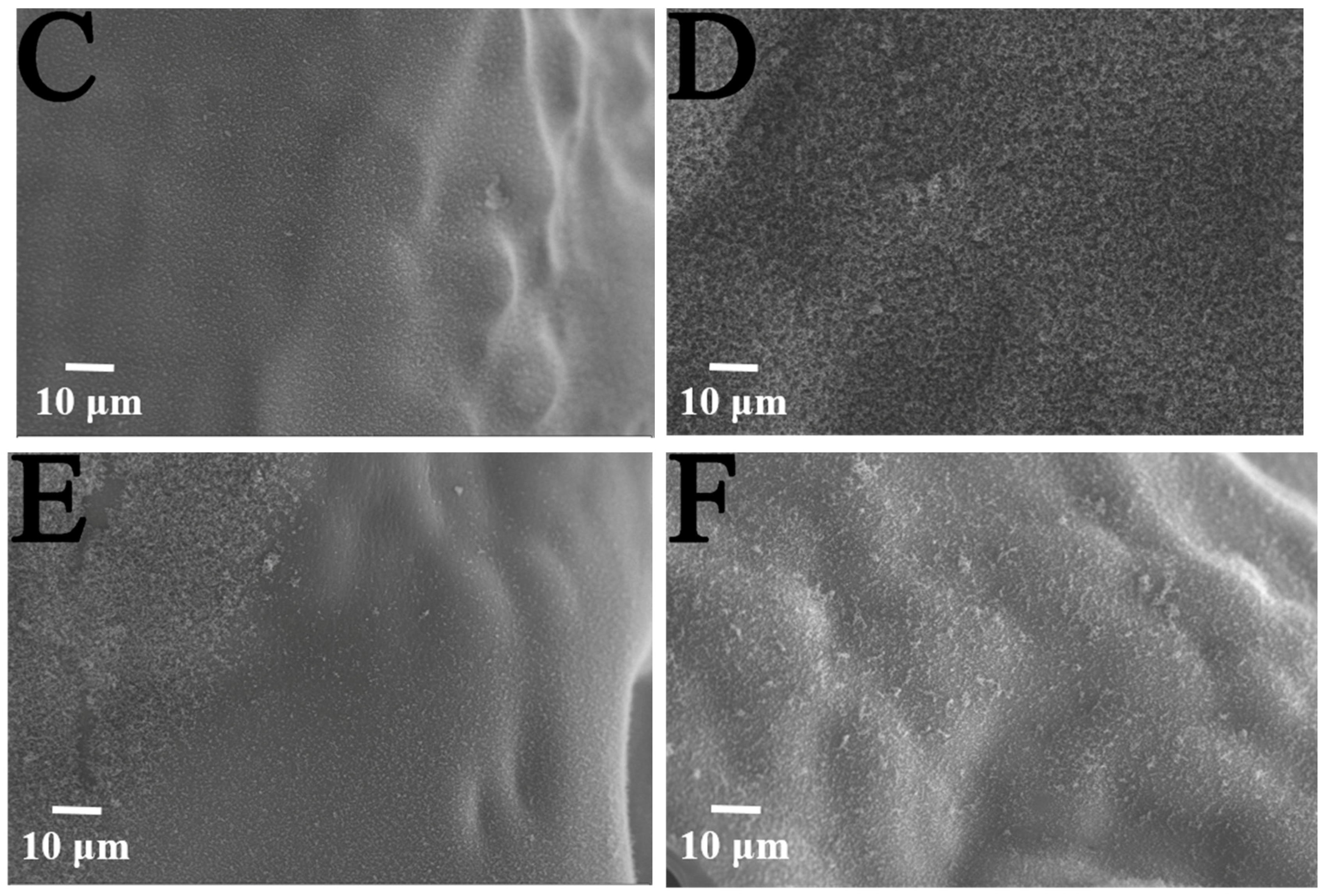 Materials 13 03550 g011b Materials 13 03550 g011b