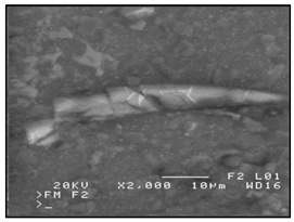 Materials 13 03552 i001