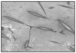 Materials 13 03552 i003