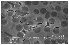 Materials 13 03552 i005