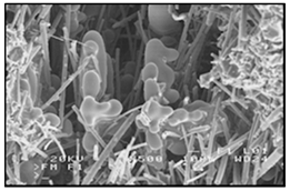 Materials 13 03552 i015