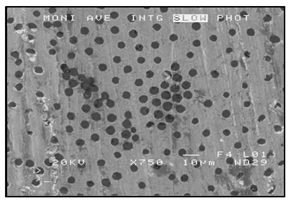 Materials 13 03552 i019