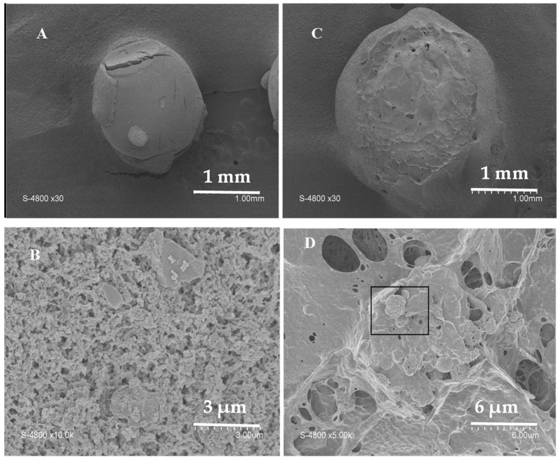 Materials 13 03565 g001