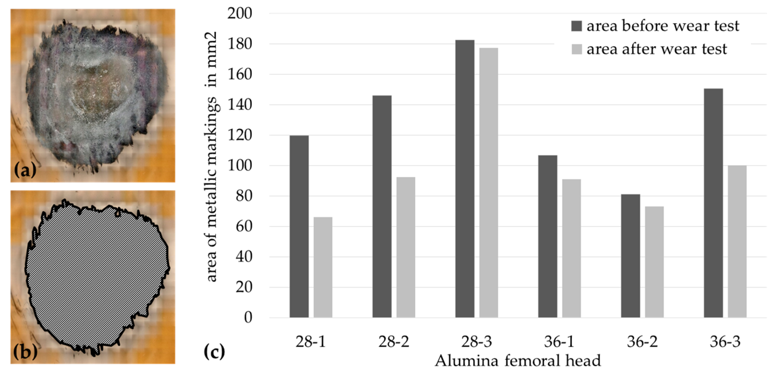 Materials 13 03569 g003
