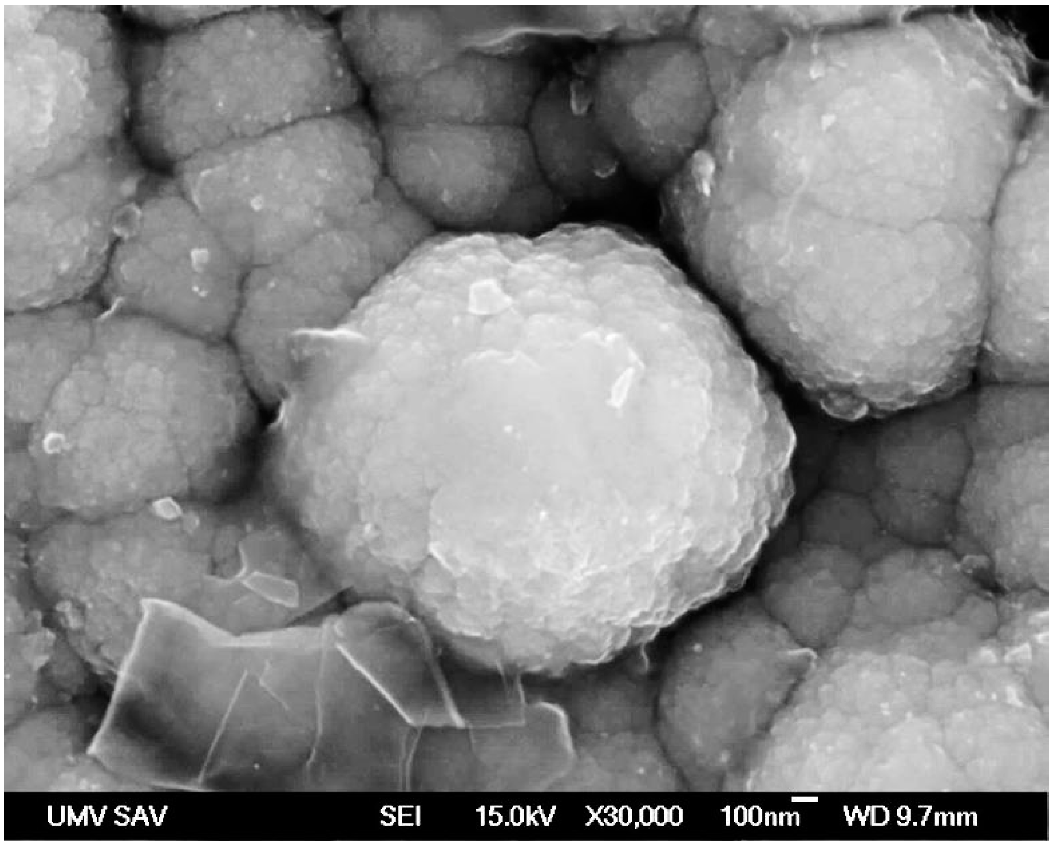 Materials 13 03576 g001