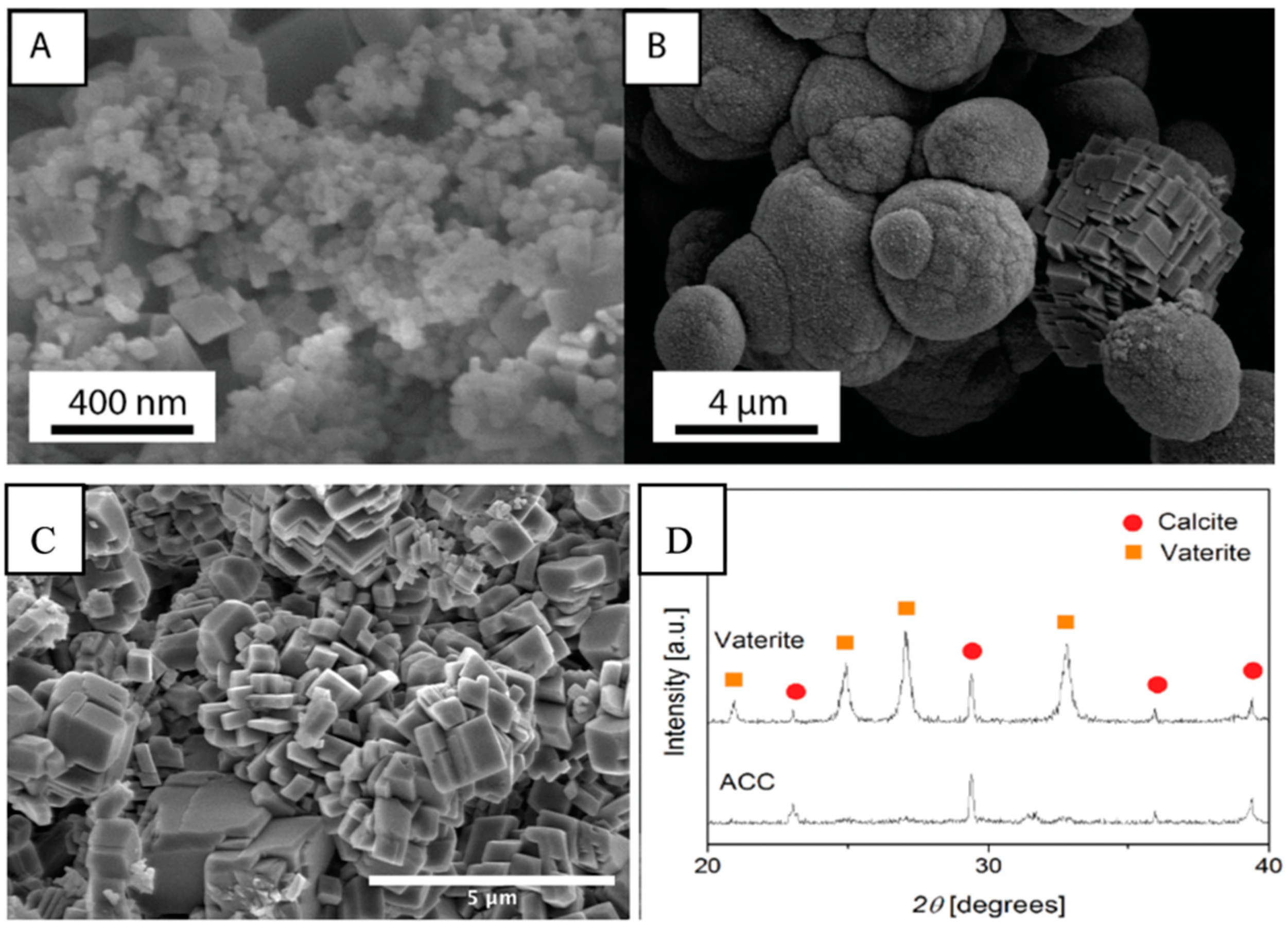 Materials 13 03582 g001