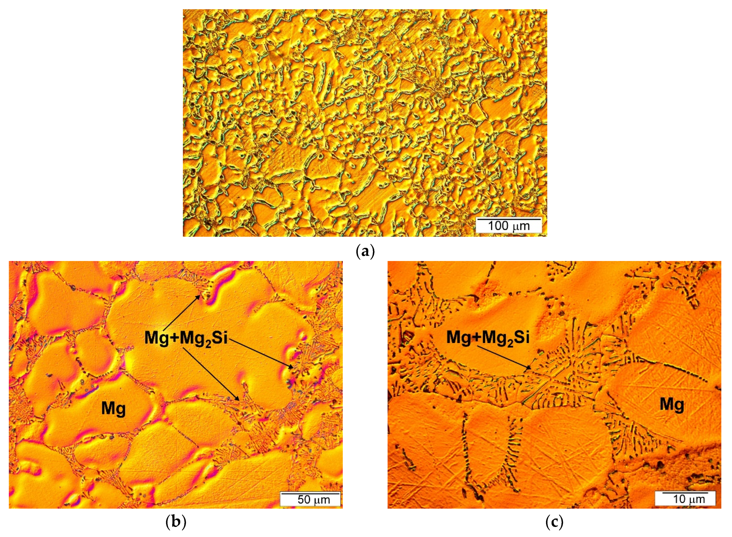 Materials 13 03591 g003