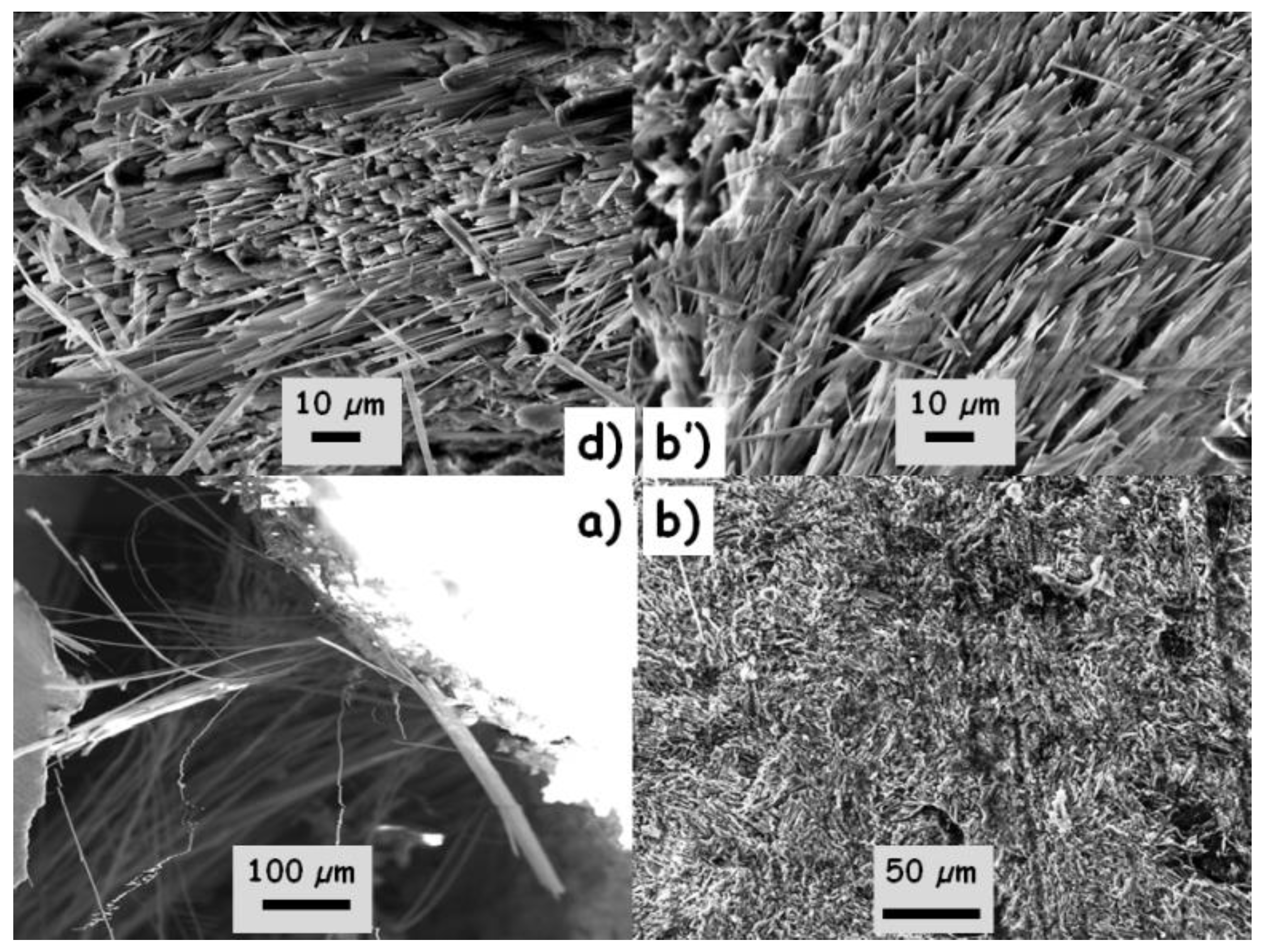 Materials 13 03597 g002