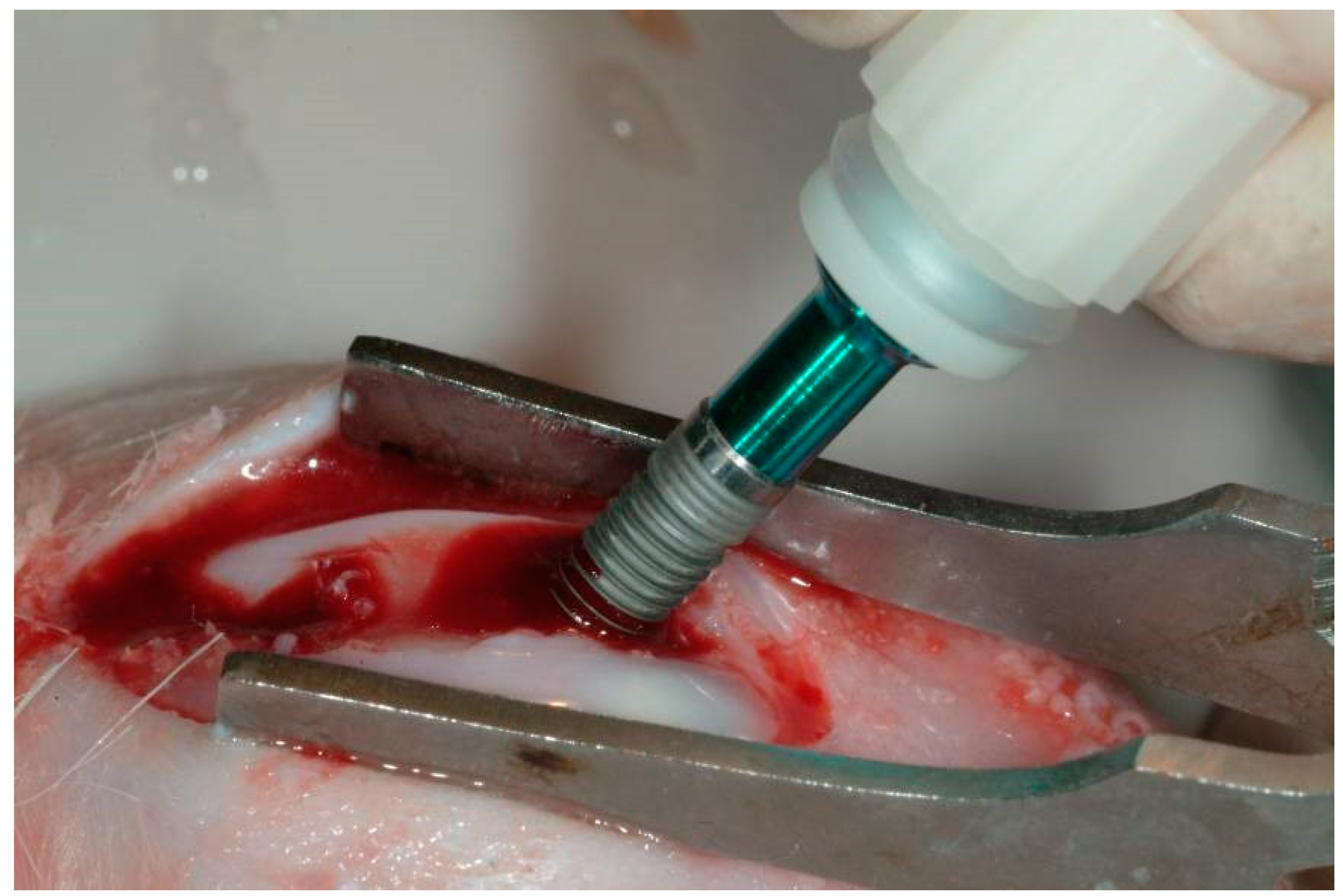 Materials 13 03613 g001 Materials 13 03613 g001