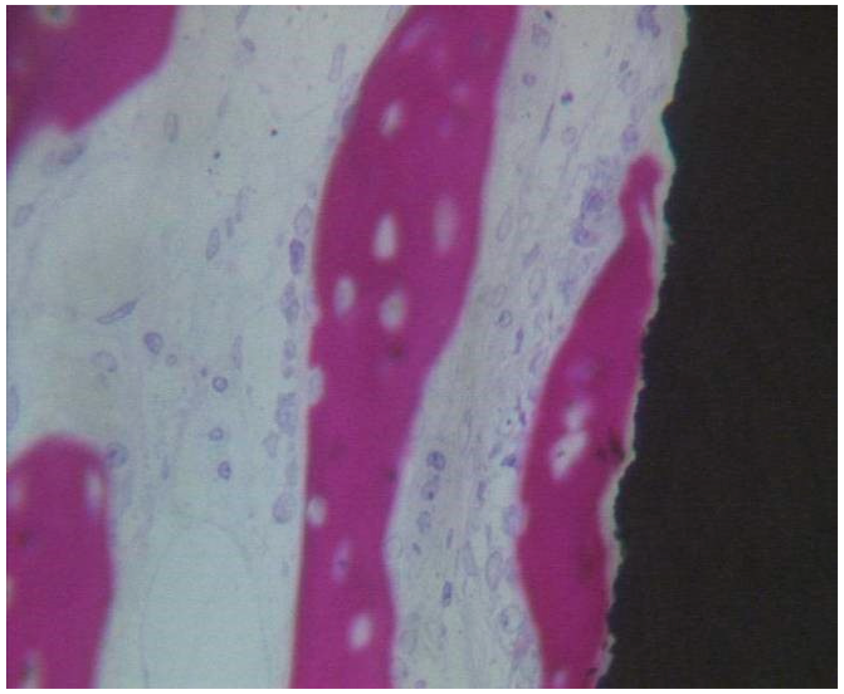 Materials 13 03613 g009 Materials 13 03613 g009