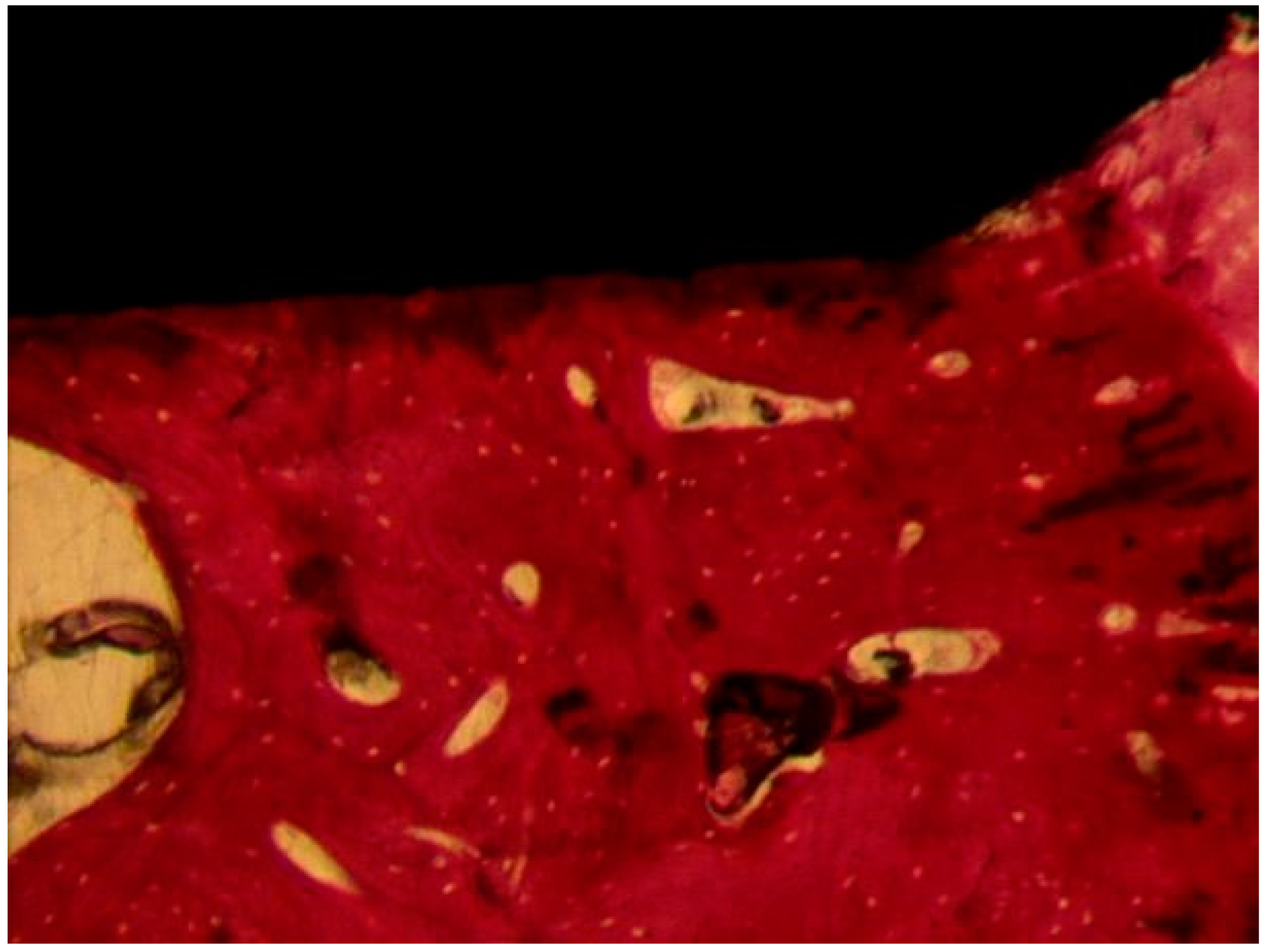 Materials 13 03613 g010 Materials 13 03613 g010