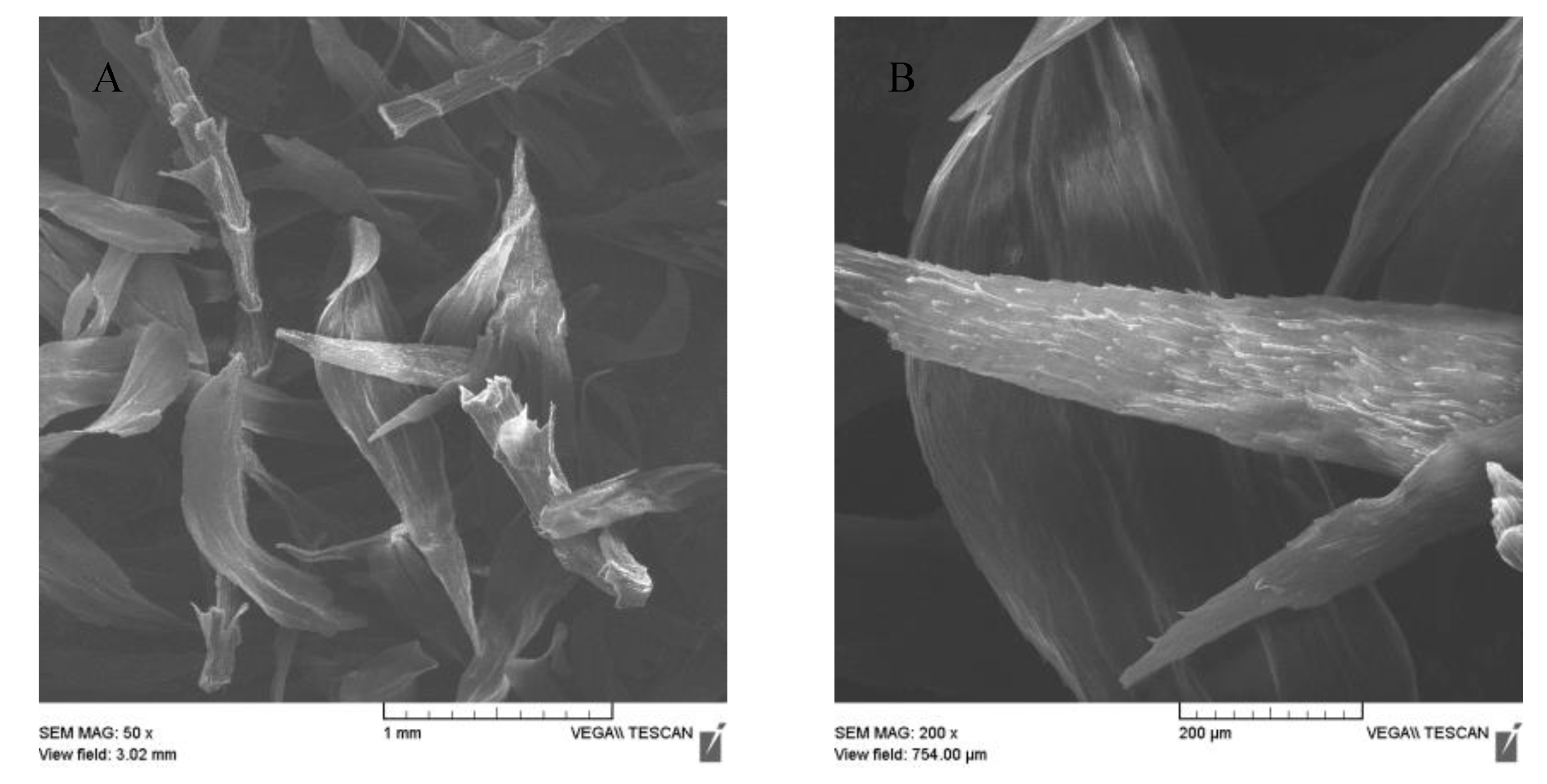 Materials 13 03619 g001