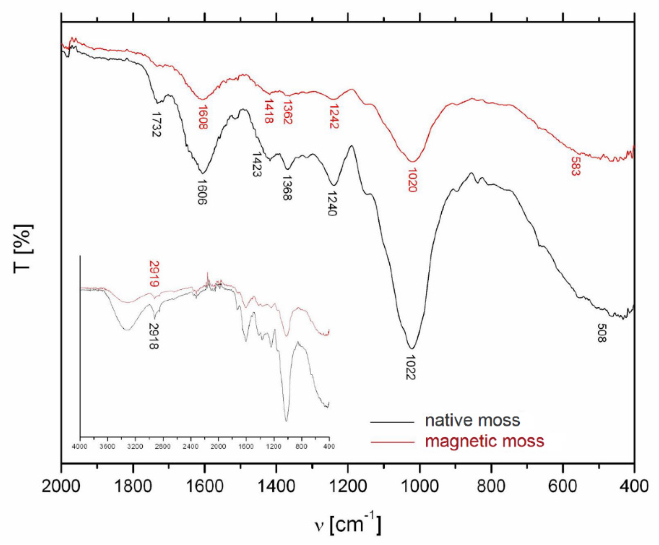 Materials 13 03619 g004