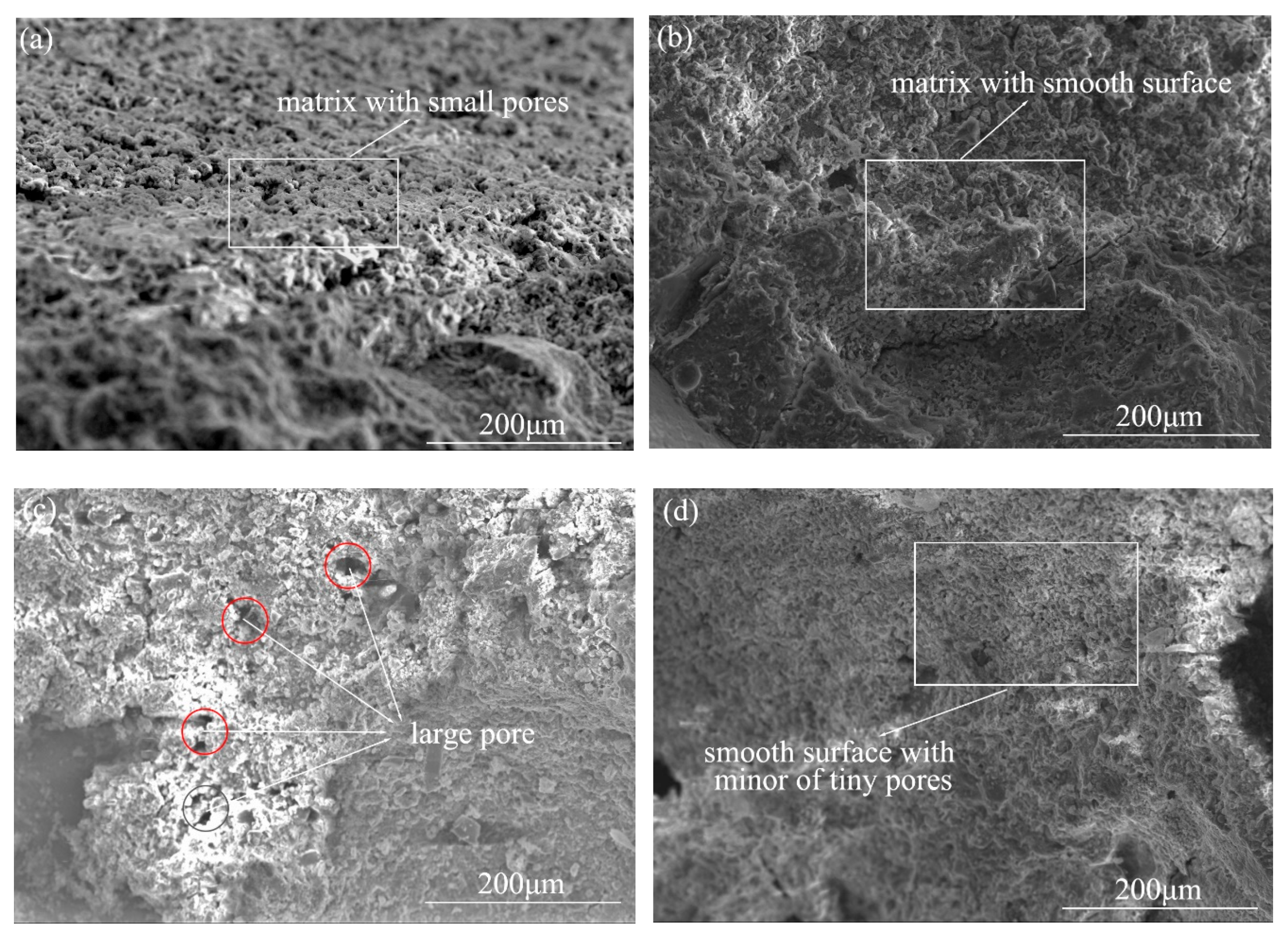 Materials 13 03636 g006