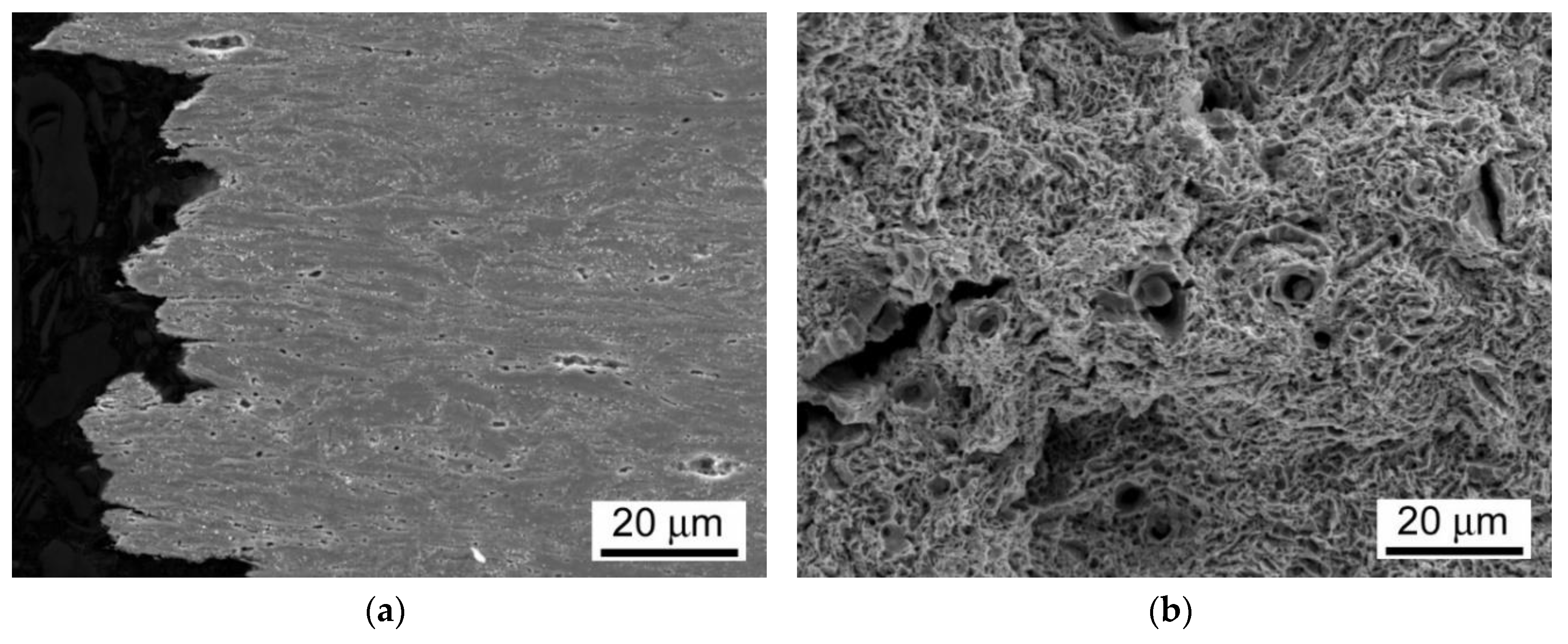 Materials 13 03653 g013