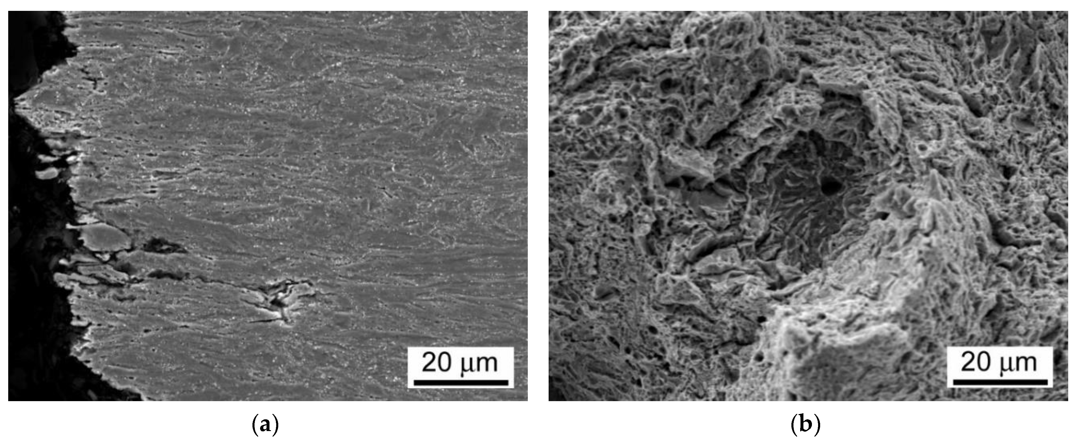 Materials 13 03653 g014