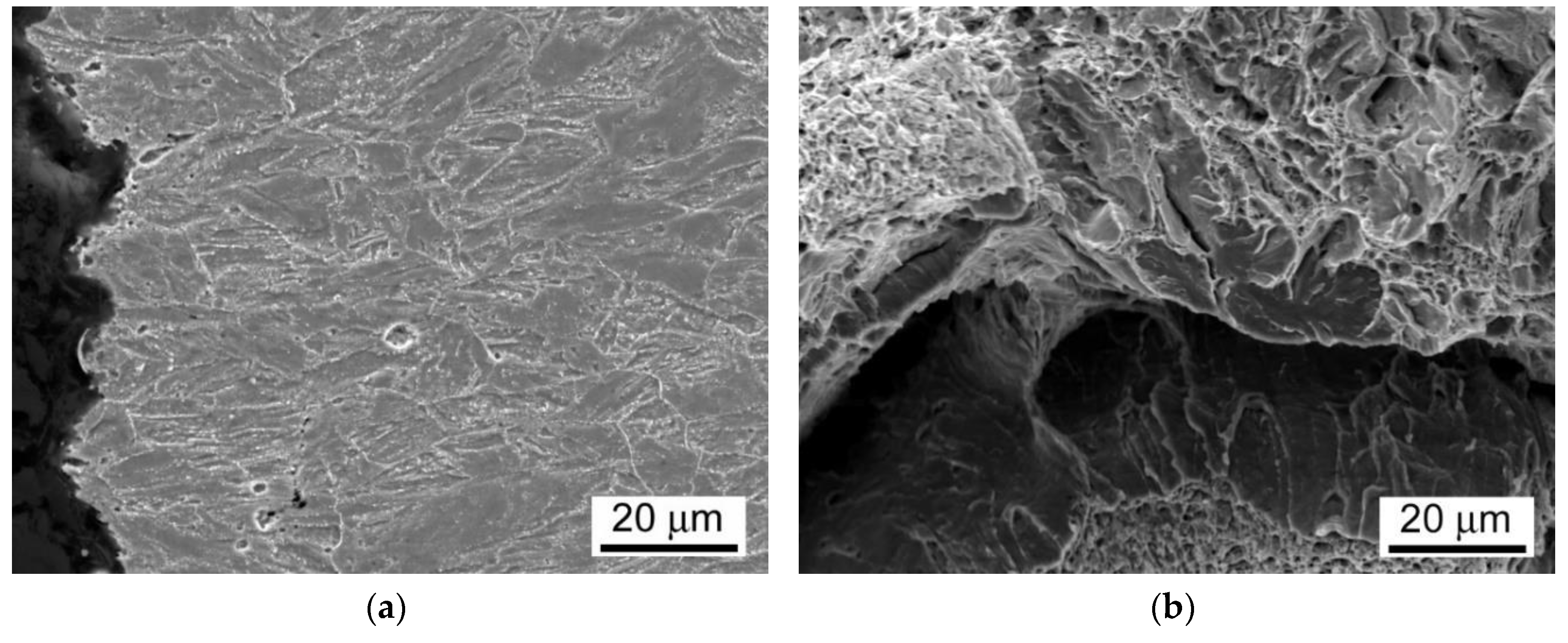 Materials 13 03653 g015