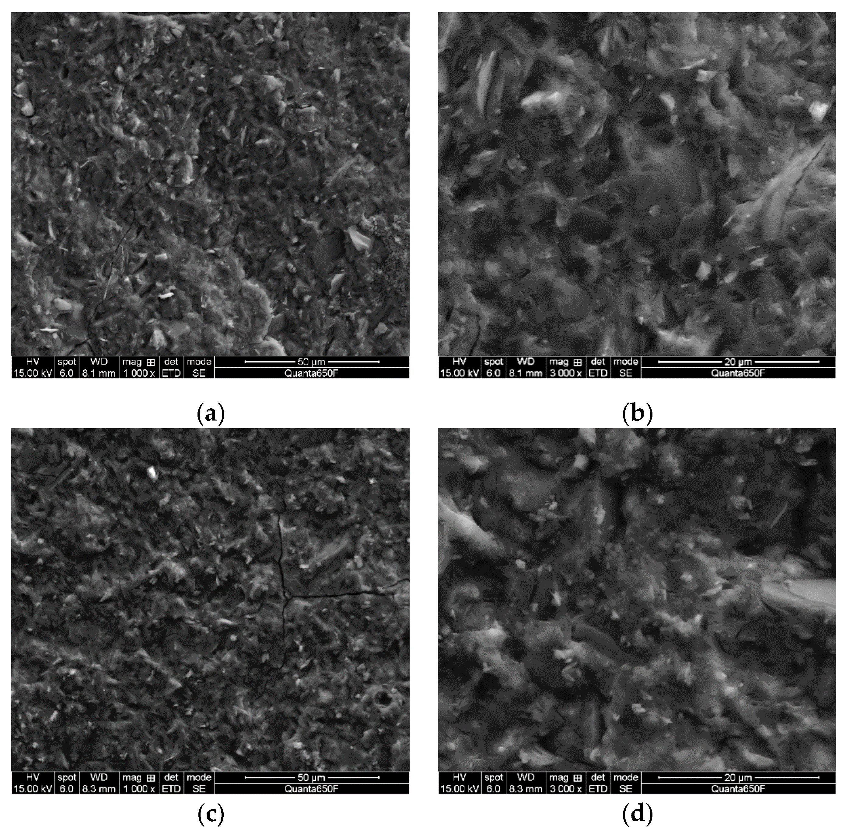 Materials 13 03663 g004