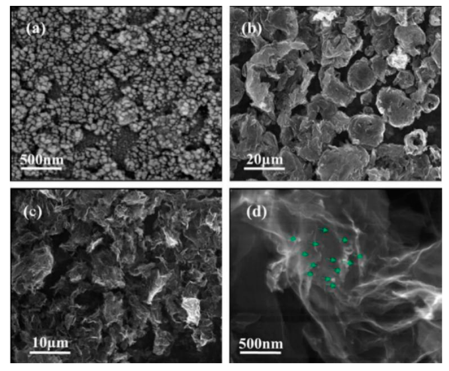 Materials 13 03669 g001