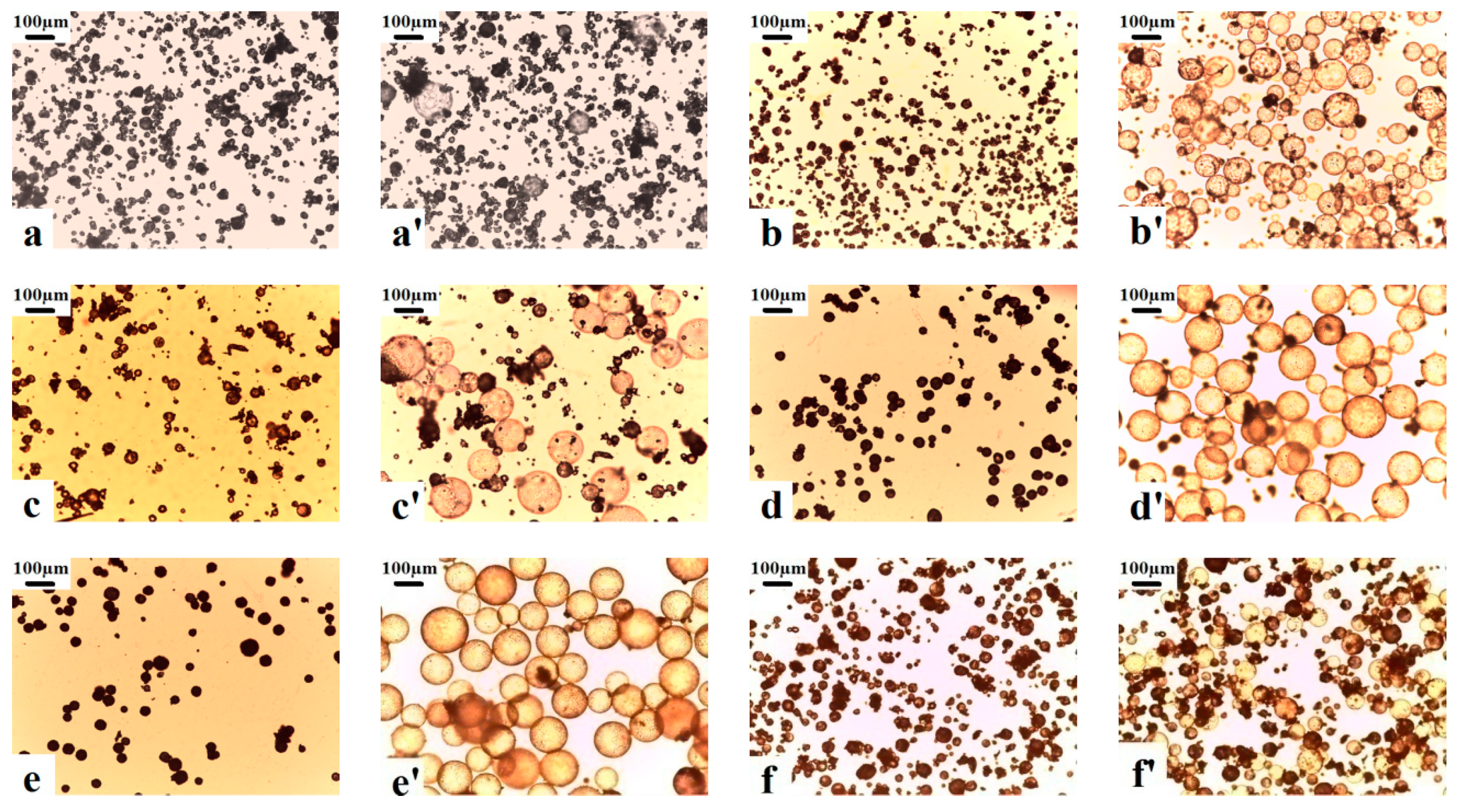 Materials 13 03673 g001