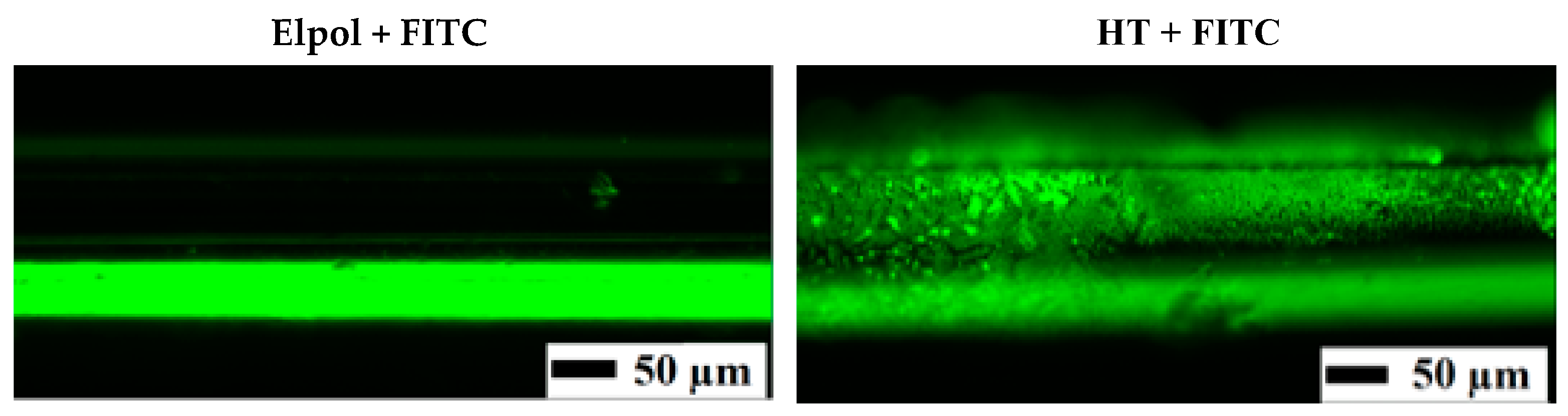 Materials 13 03693 g005