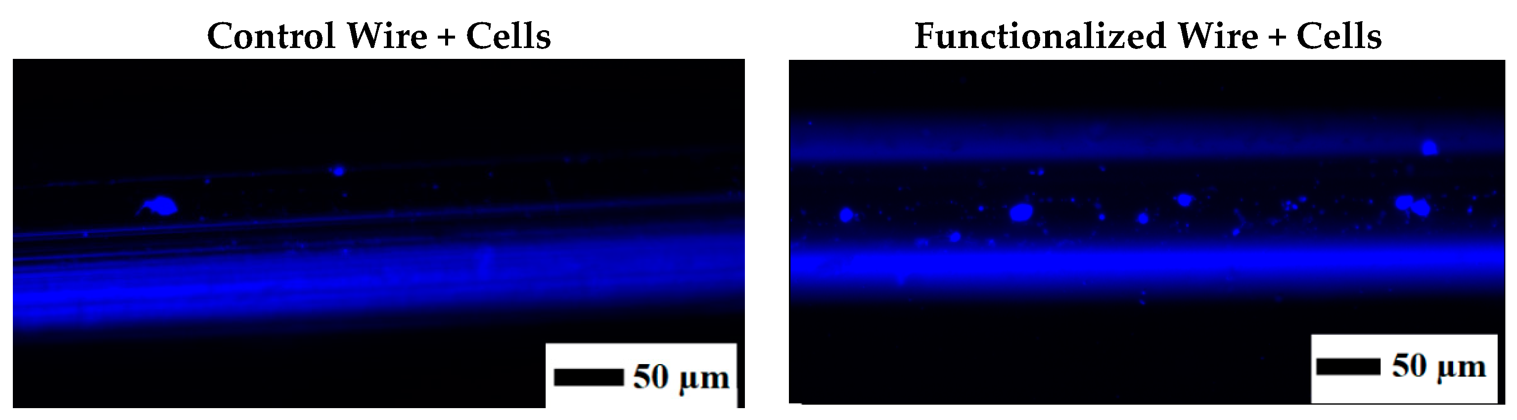 Materials 13 03693 g010