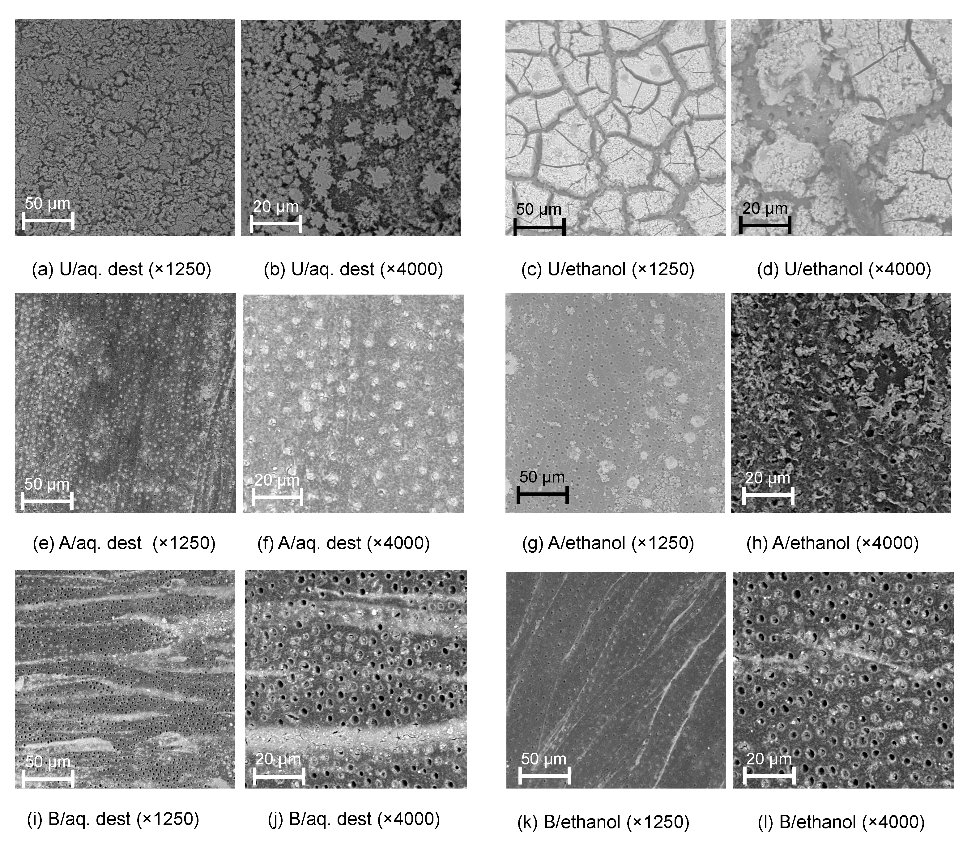 Materials 13 03702 g002