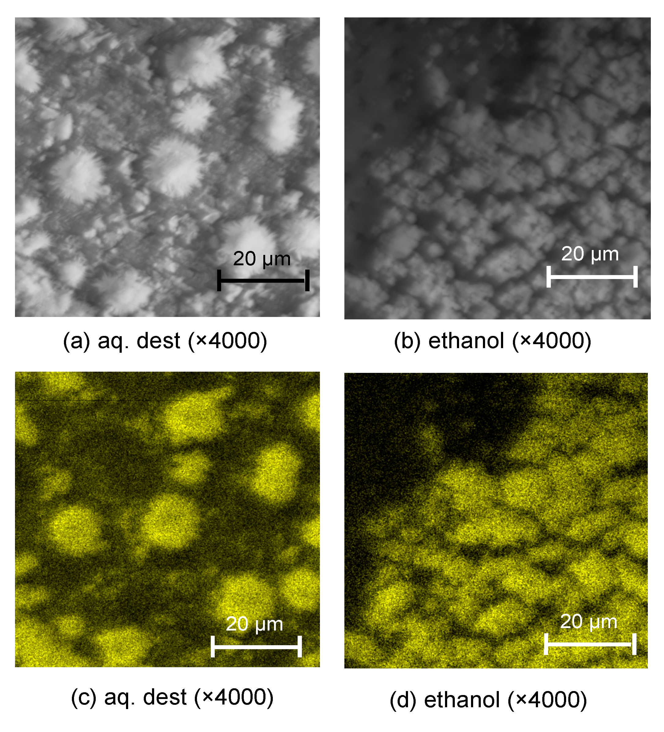 Materials 13 03702 g003