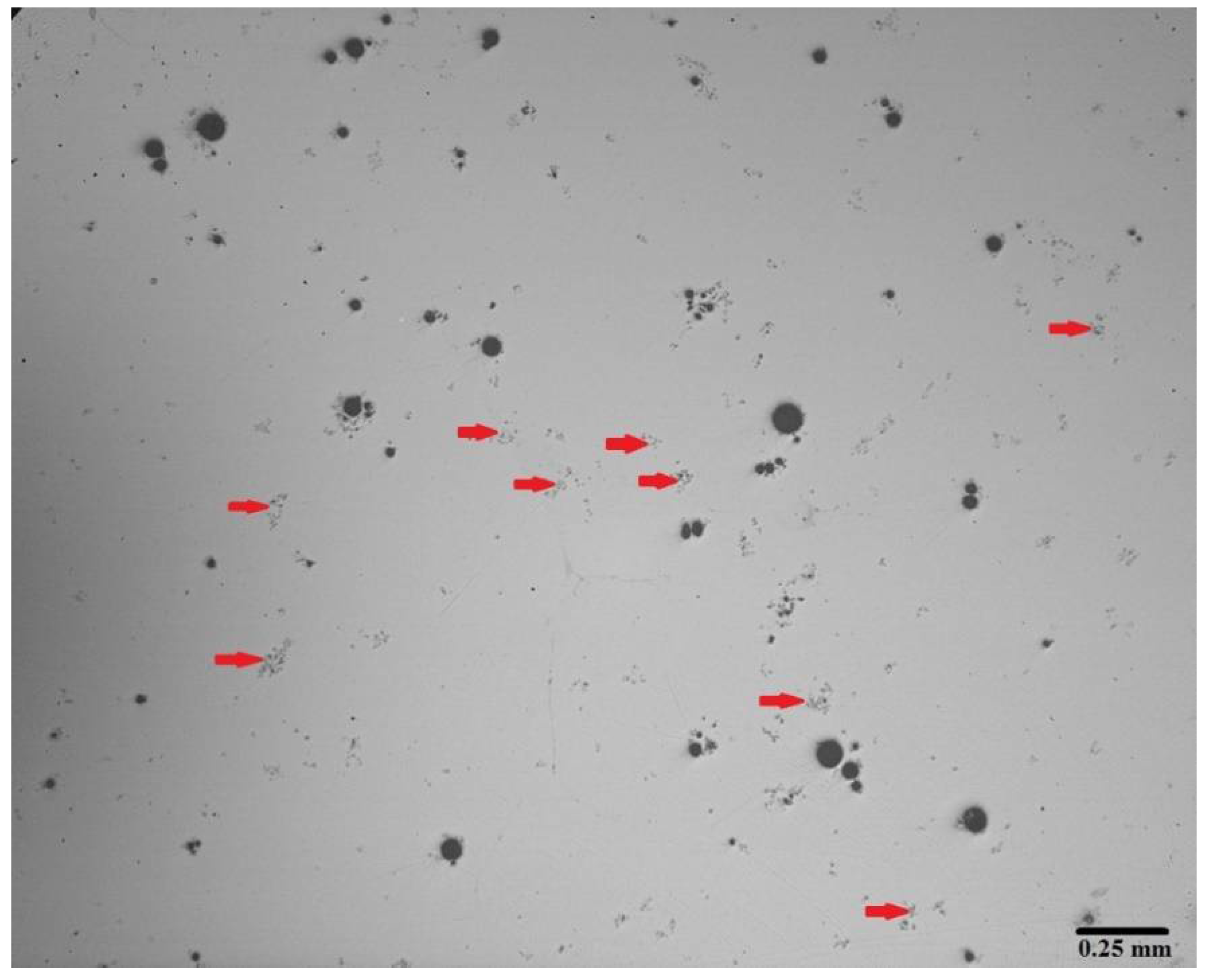 Materials 13 03704 g009