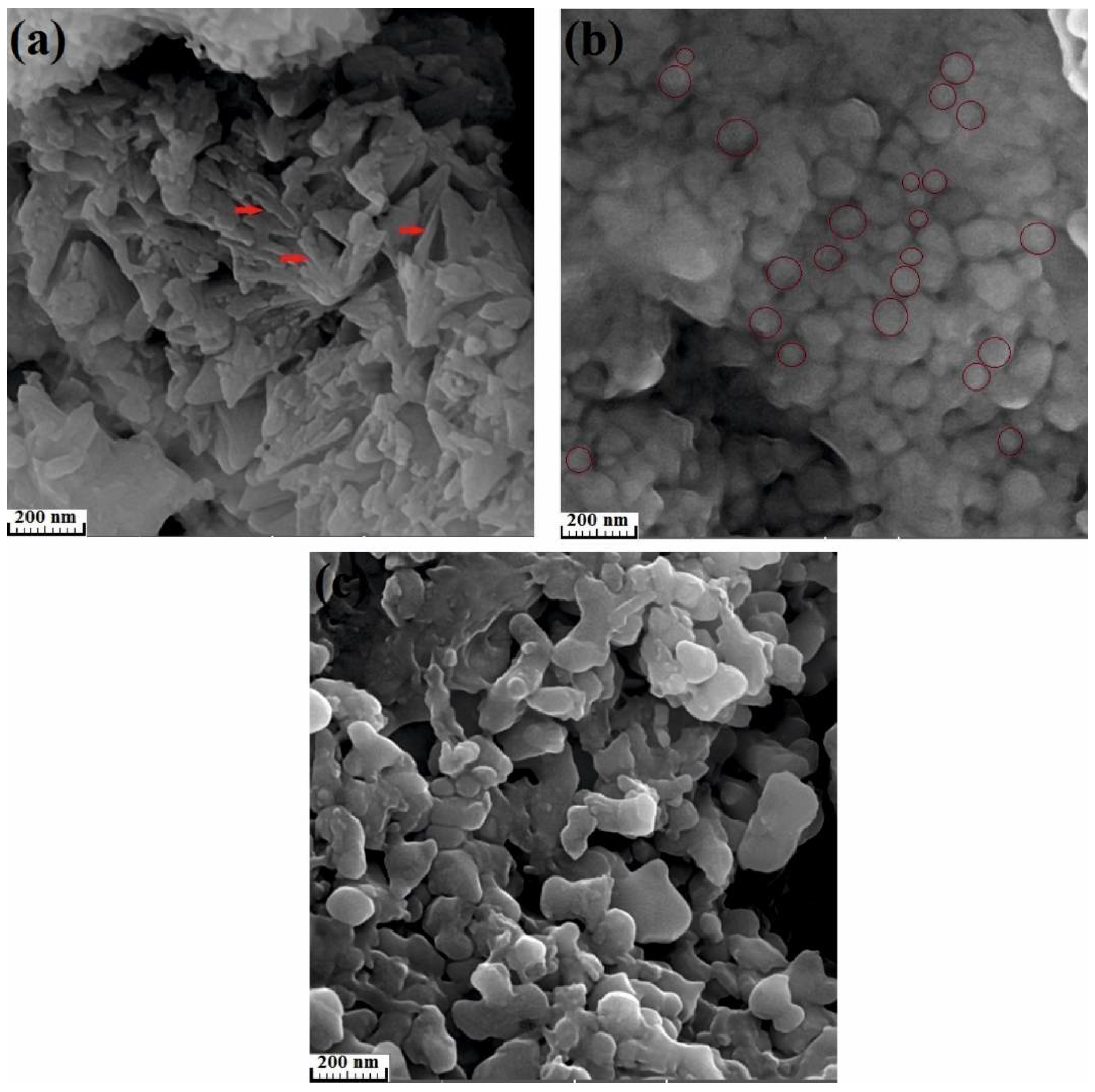 Materials 13 03704 g010