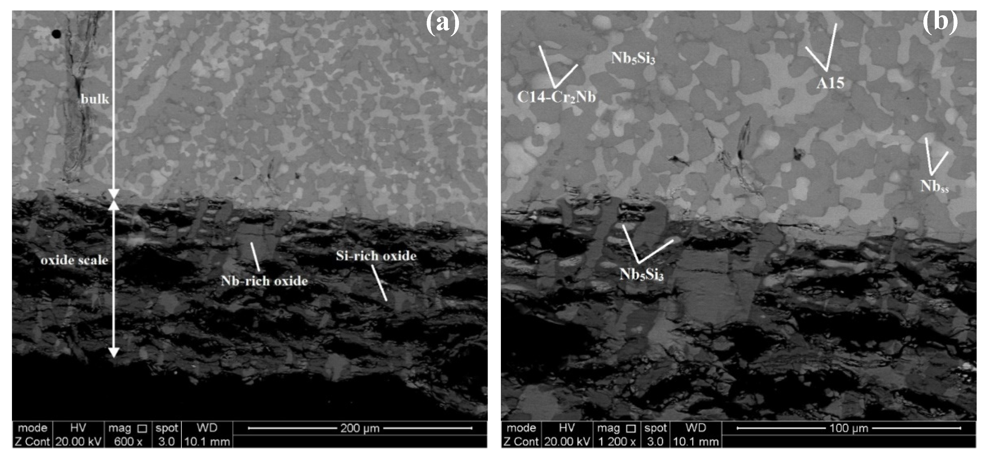 Materials 13 03719 g009