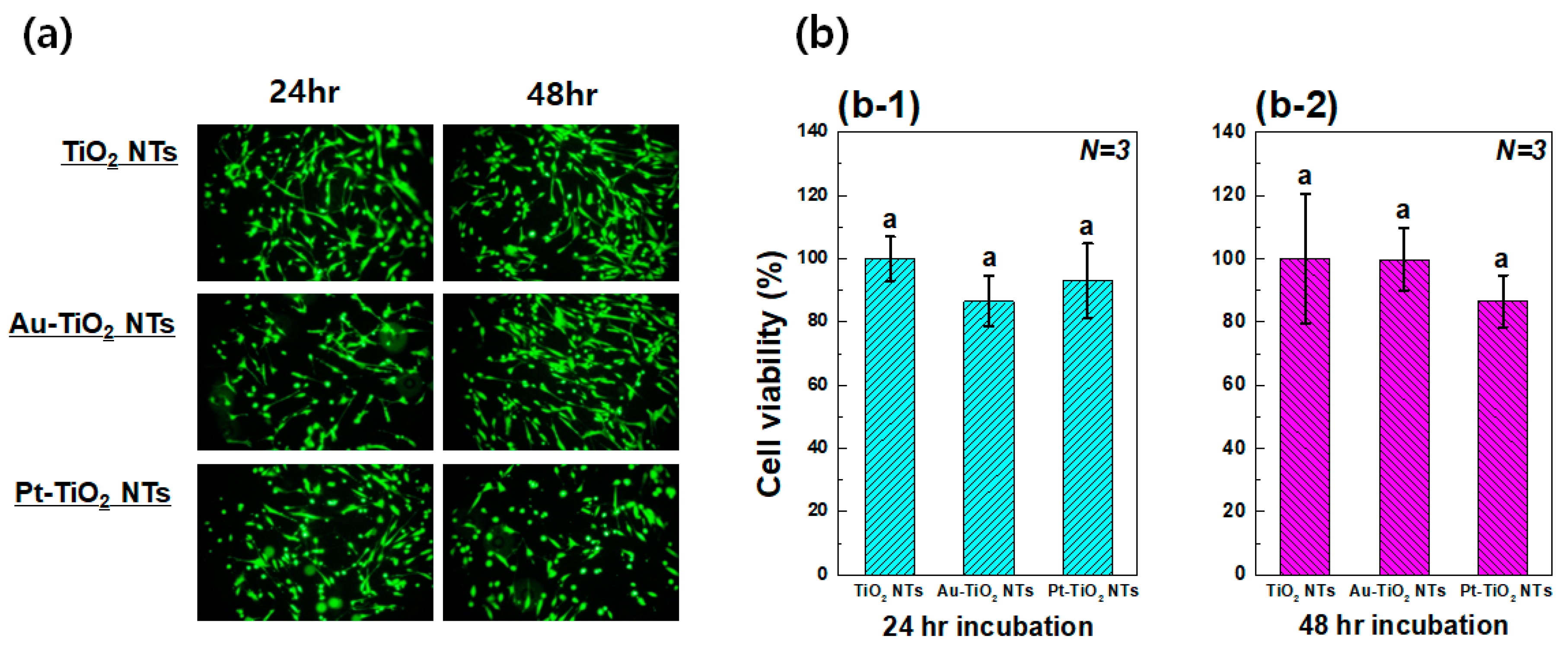 Materials 13 03721 g006
