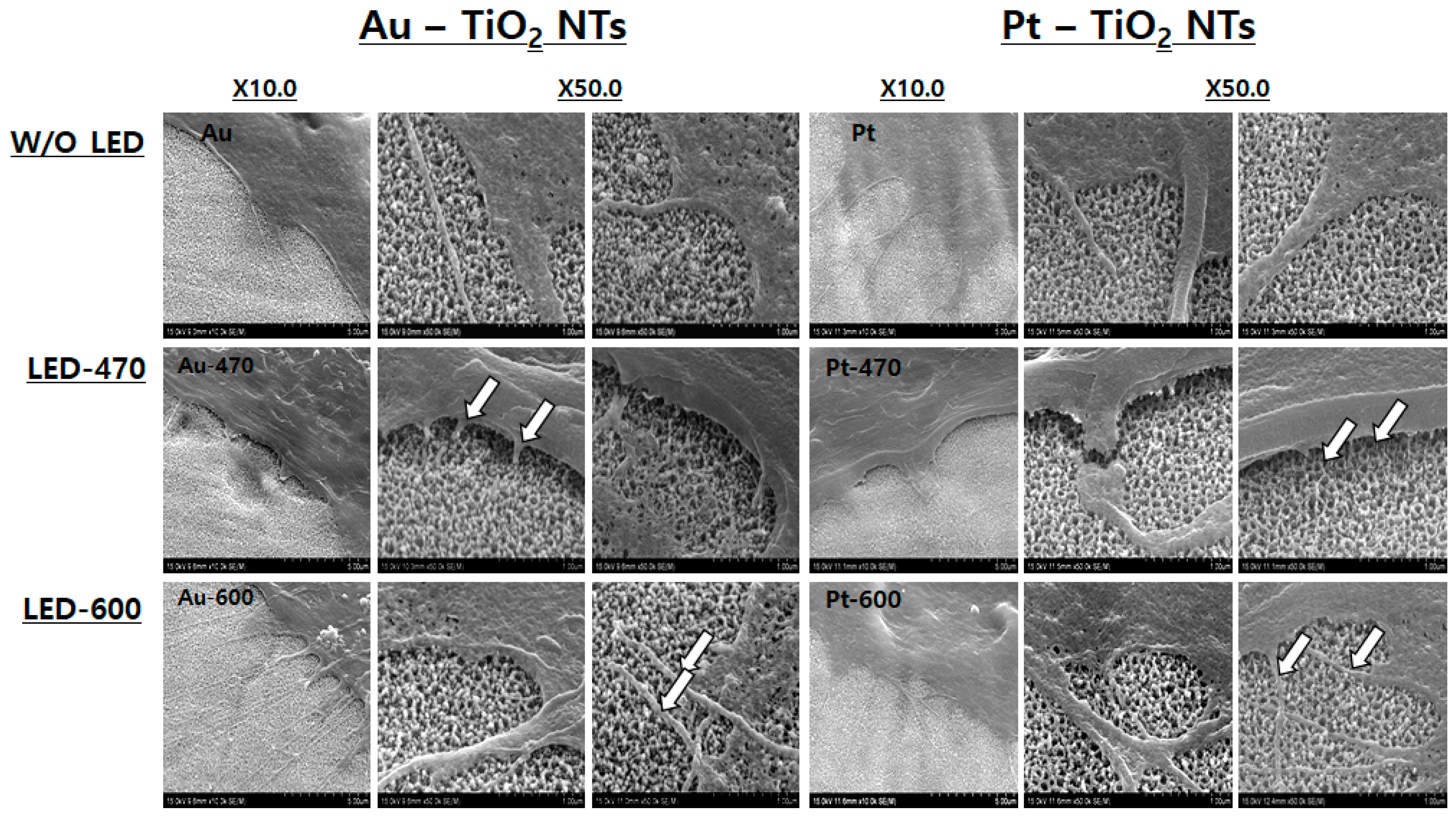 Materials 13 03721 g007