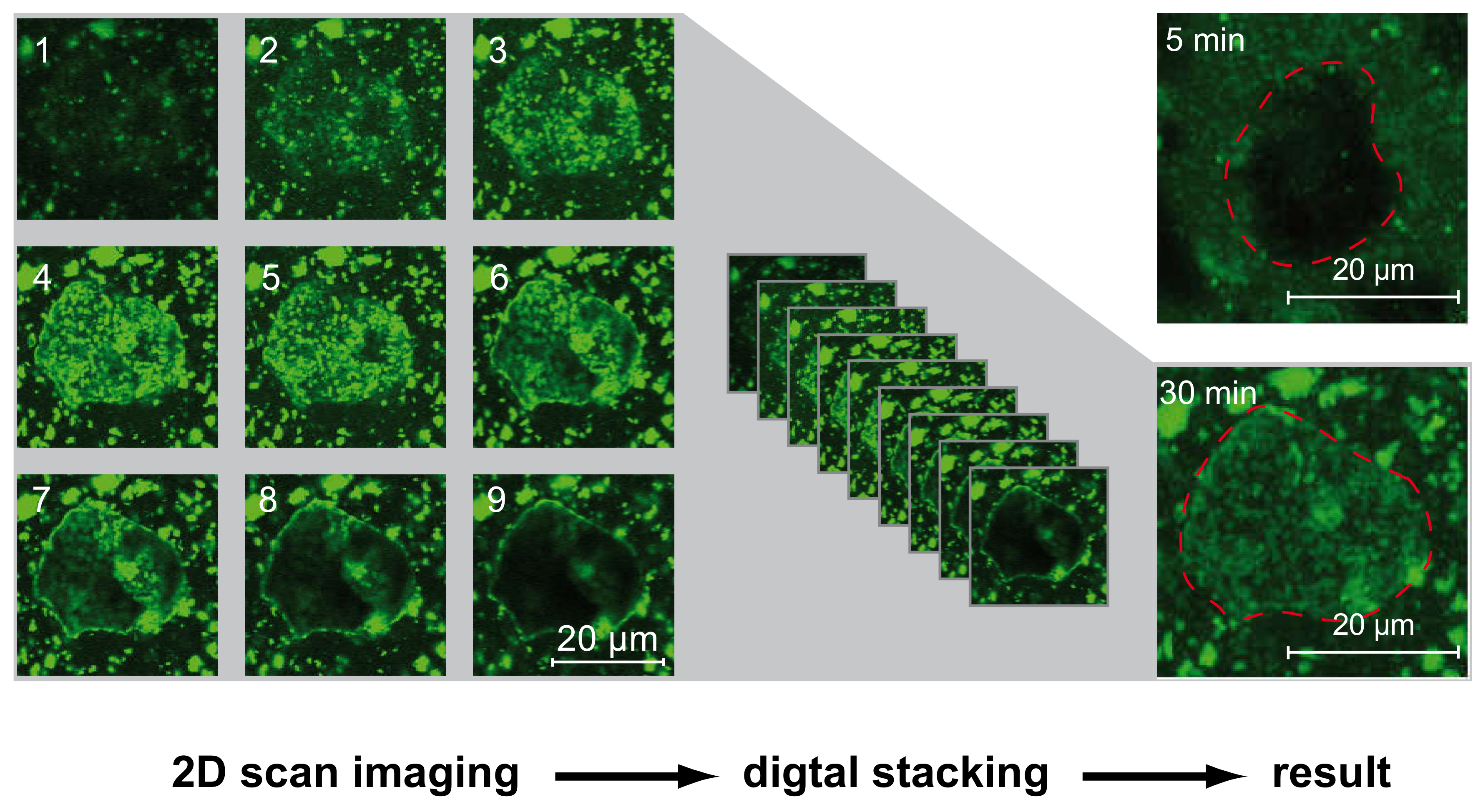 Materials 13 03733 g011