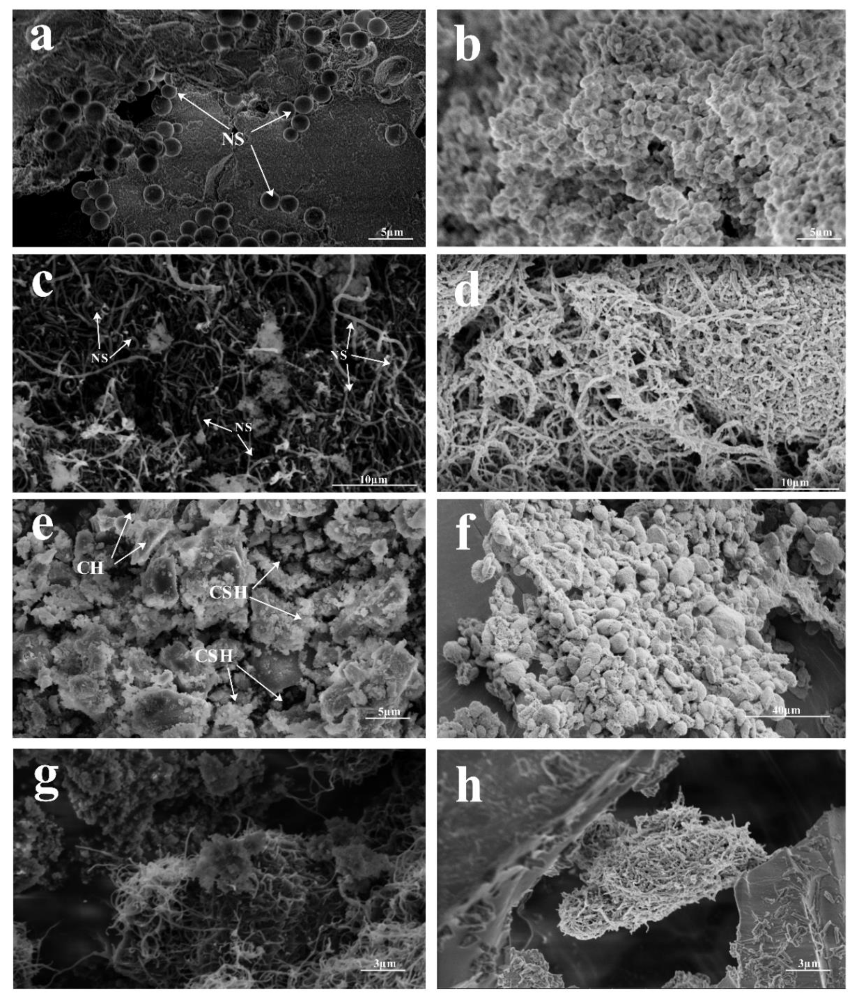 Materials 13 03737 g007