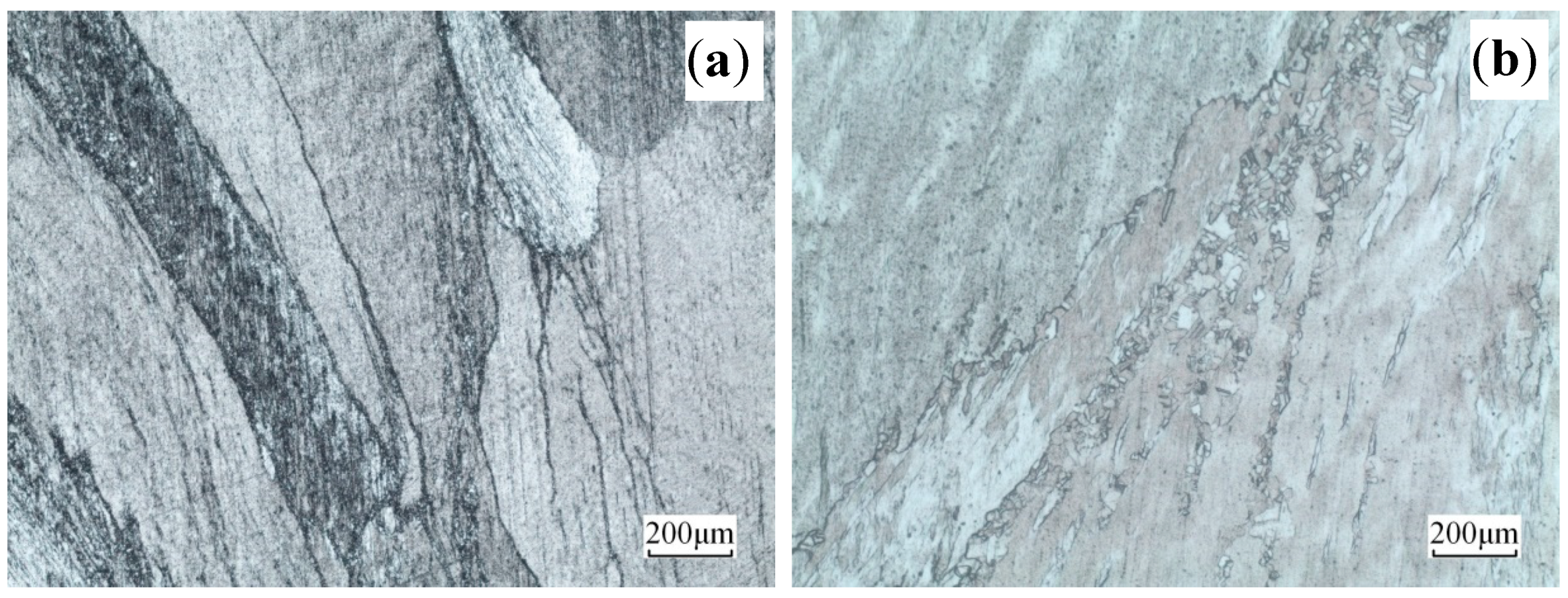 Materials 13 03739 g005