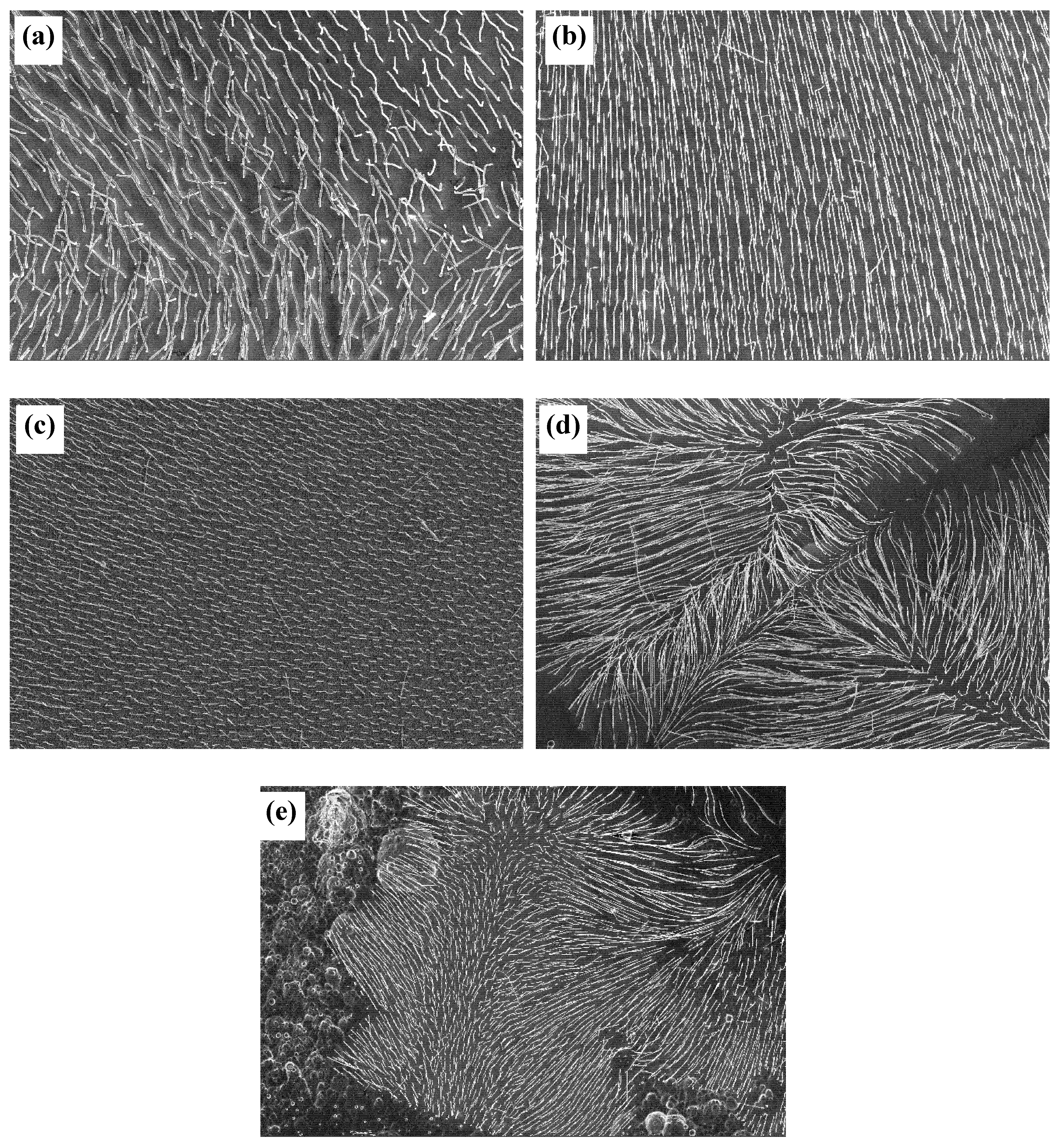 Materials 13 03749 g003 Materials 13 03749 g003