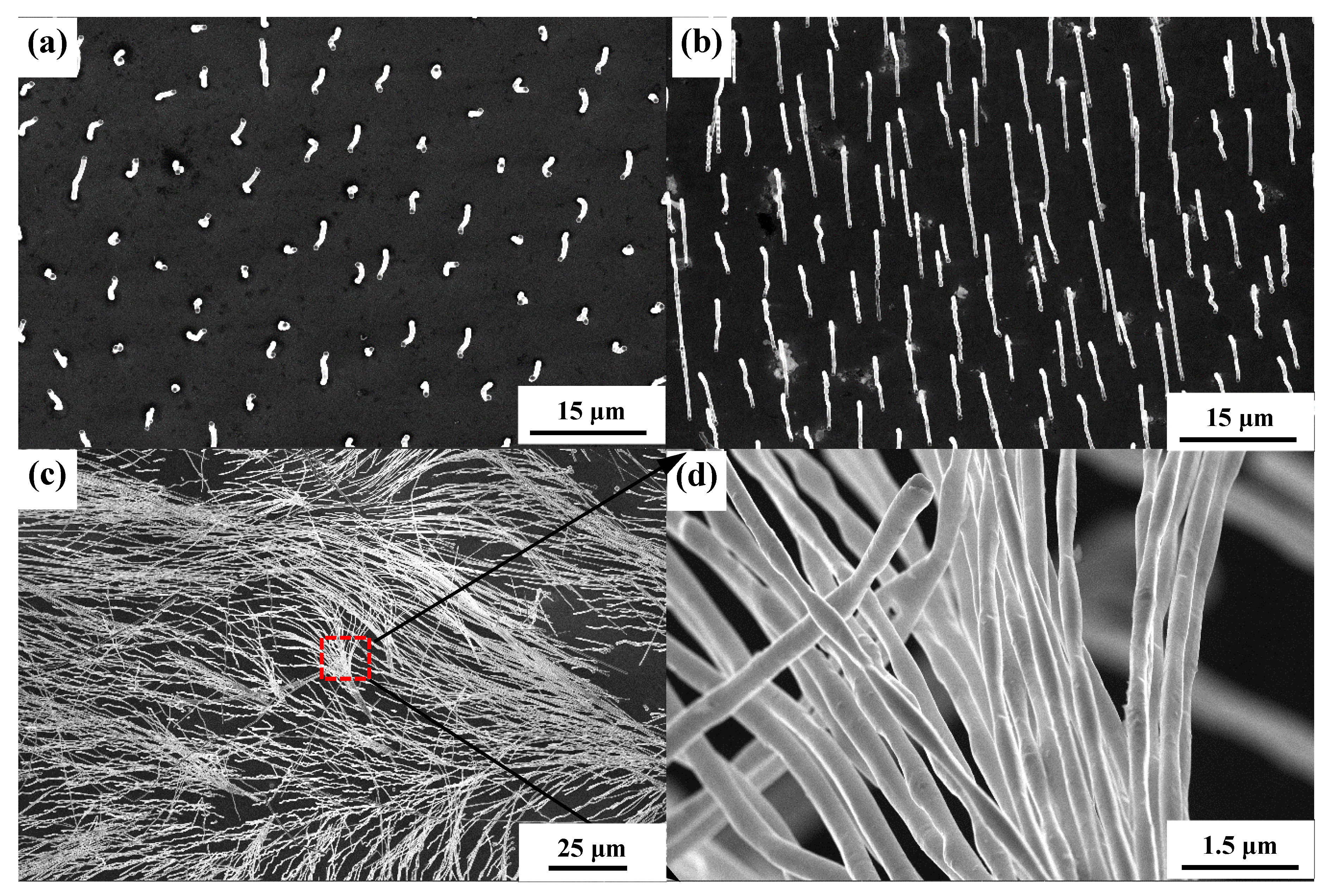 Materials 13 03749 g005 Materials 13 03749 g005