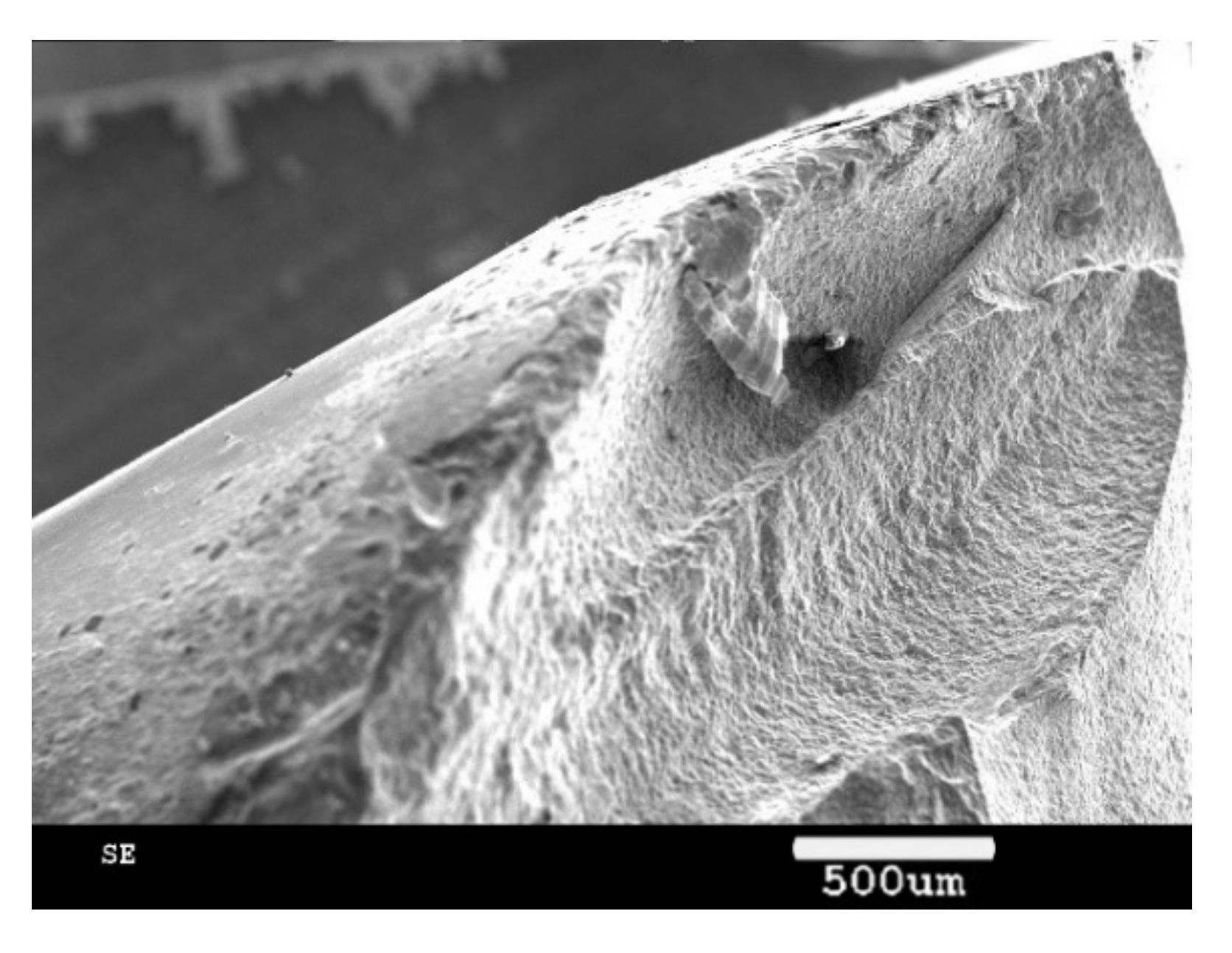 Materials 13 03758 g018