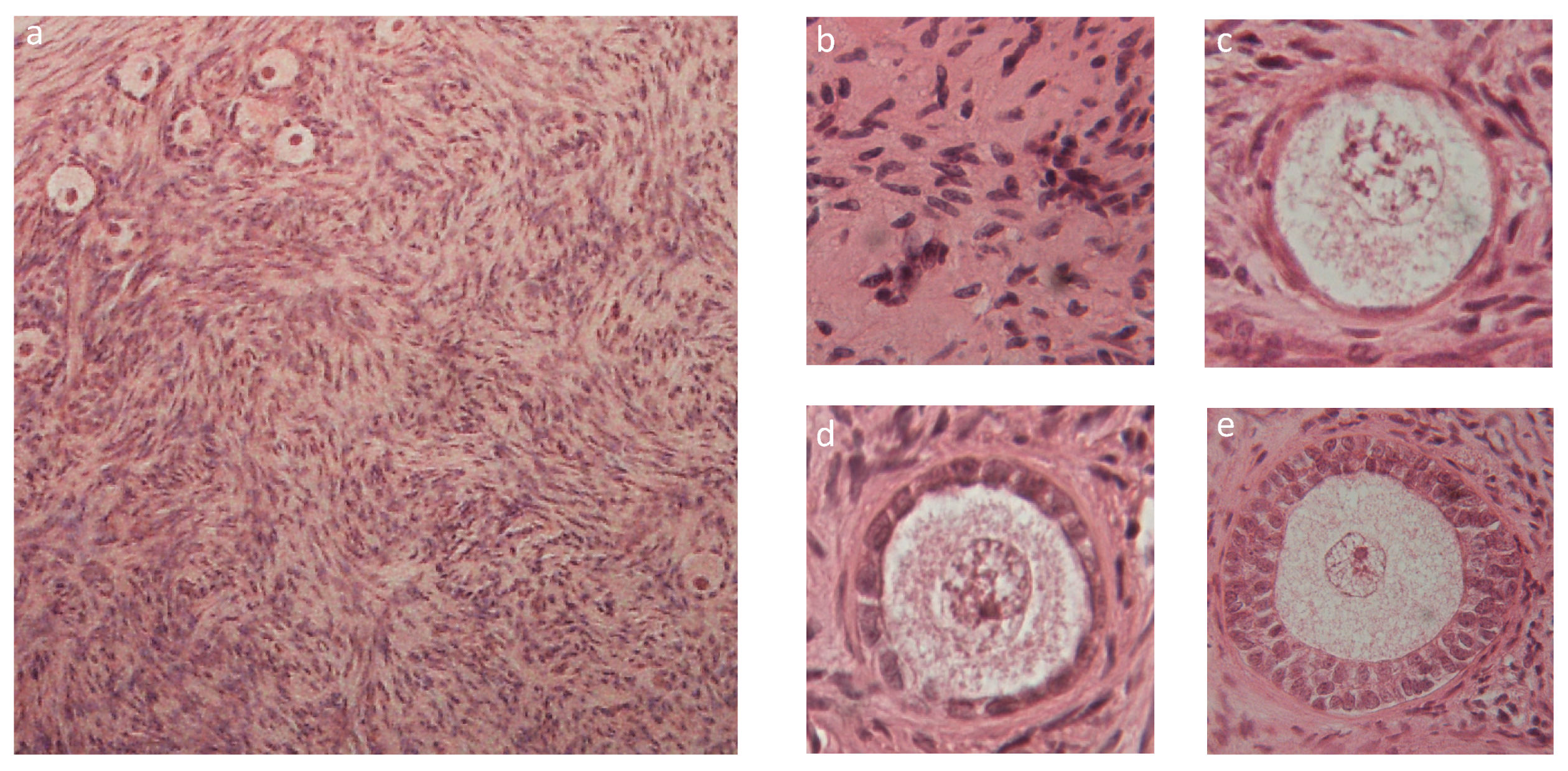 Materials 13 03759 g007