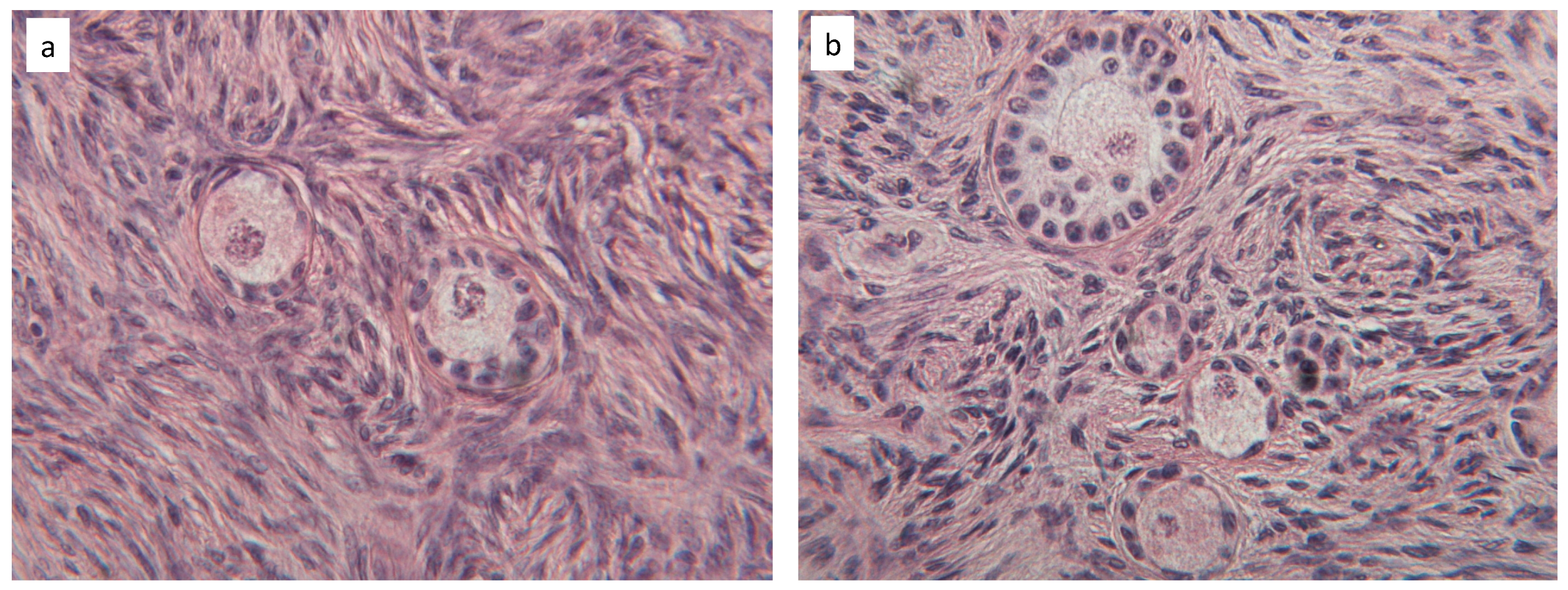 Materials 13 03759 g009